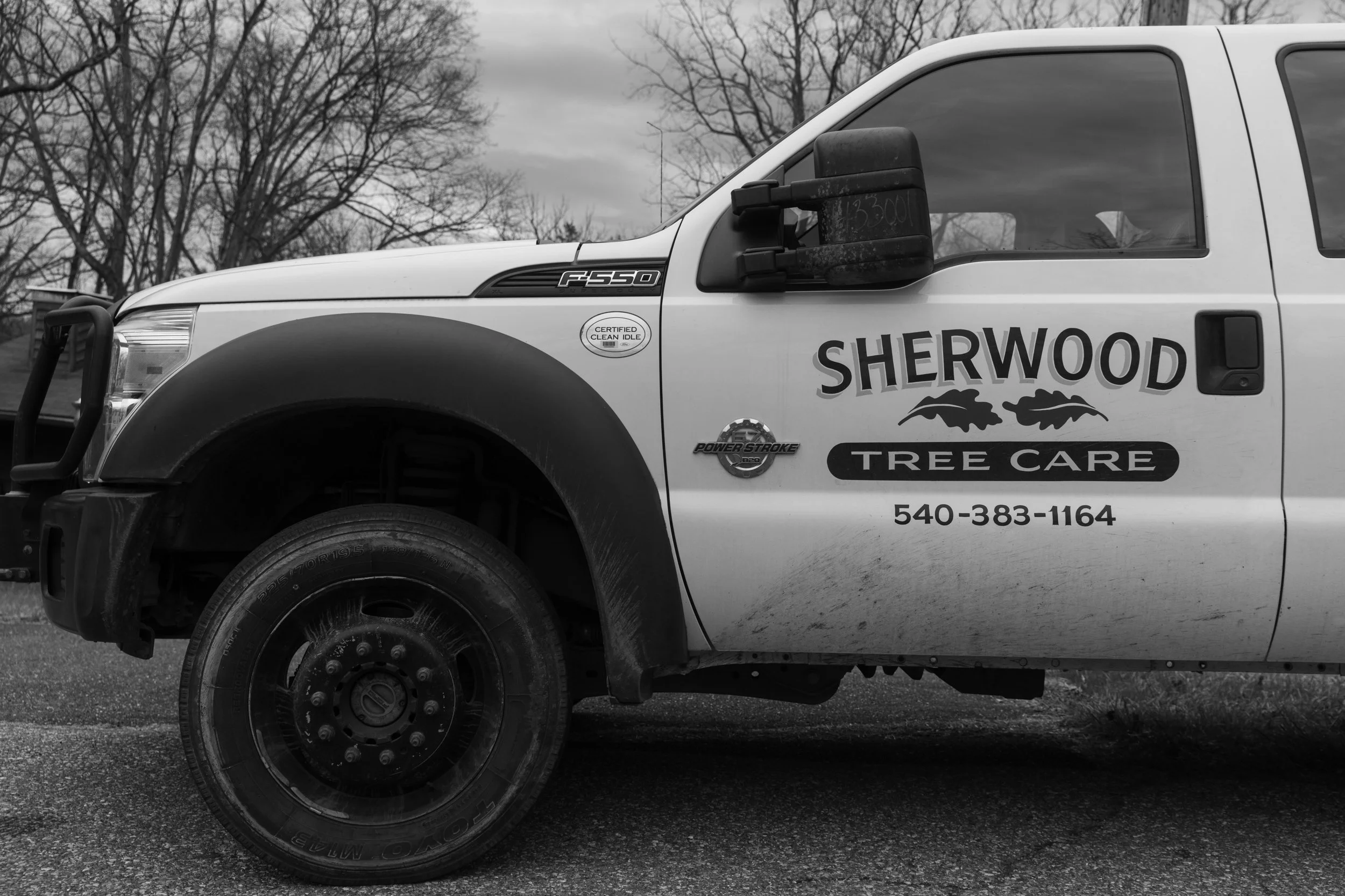 SHERWOOD TREE CARE_DAY2_3.jpg