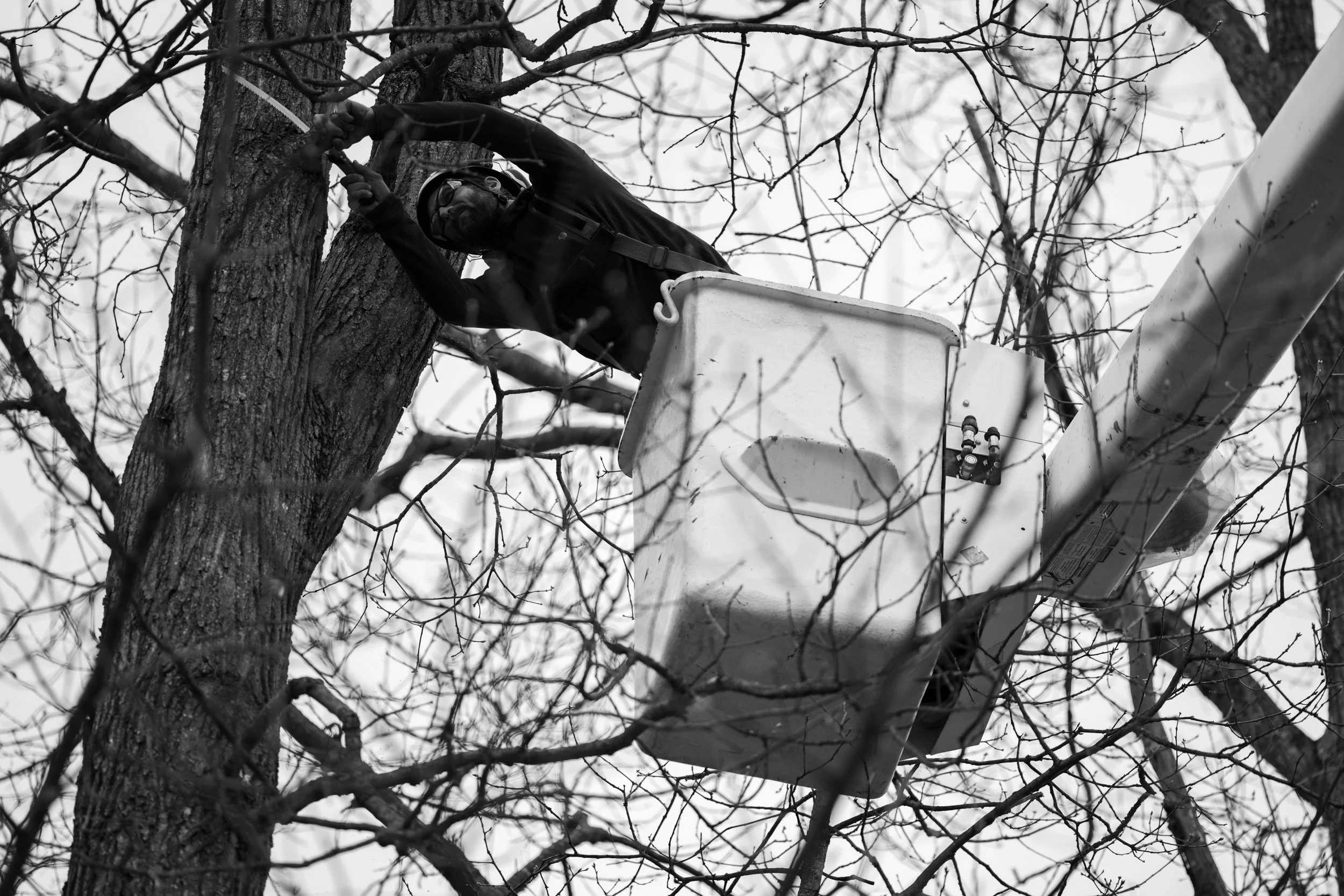 SHERWOOD TREE CARE_DAY2_20.jpg