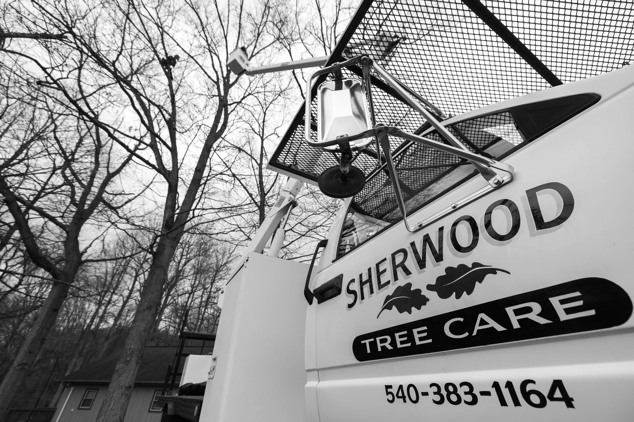 SHERWOOD TREE CARE_DAY2_22.jpg