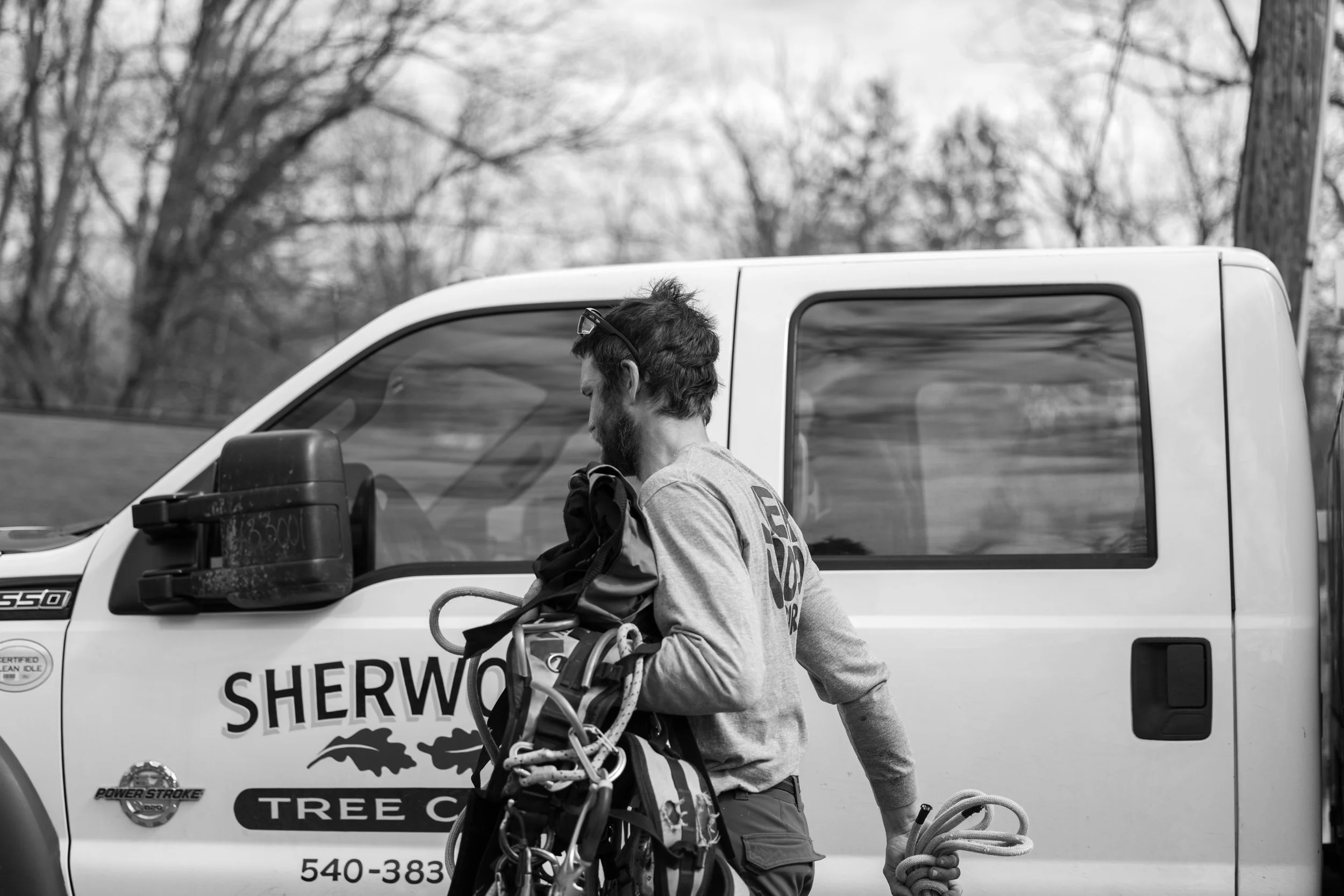 SHERWOOD TREE CARE_DAY2_57.jpg