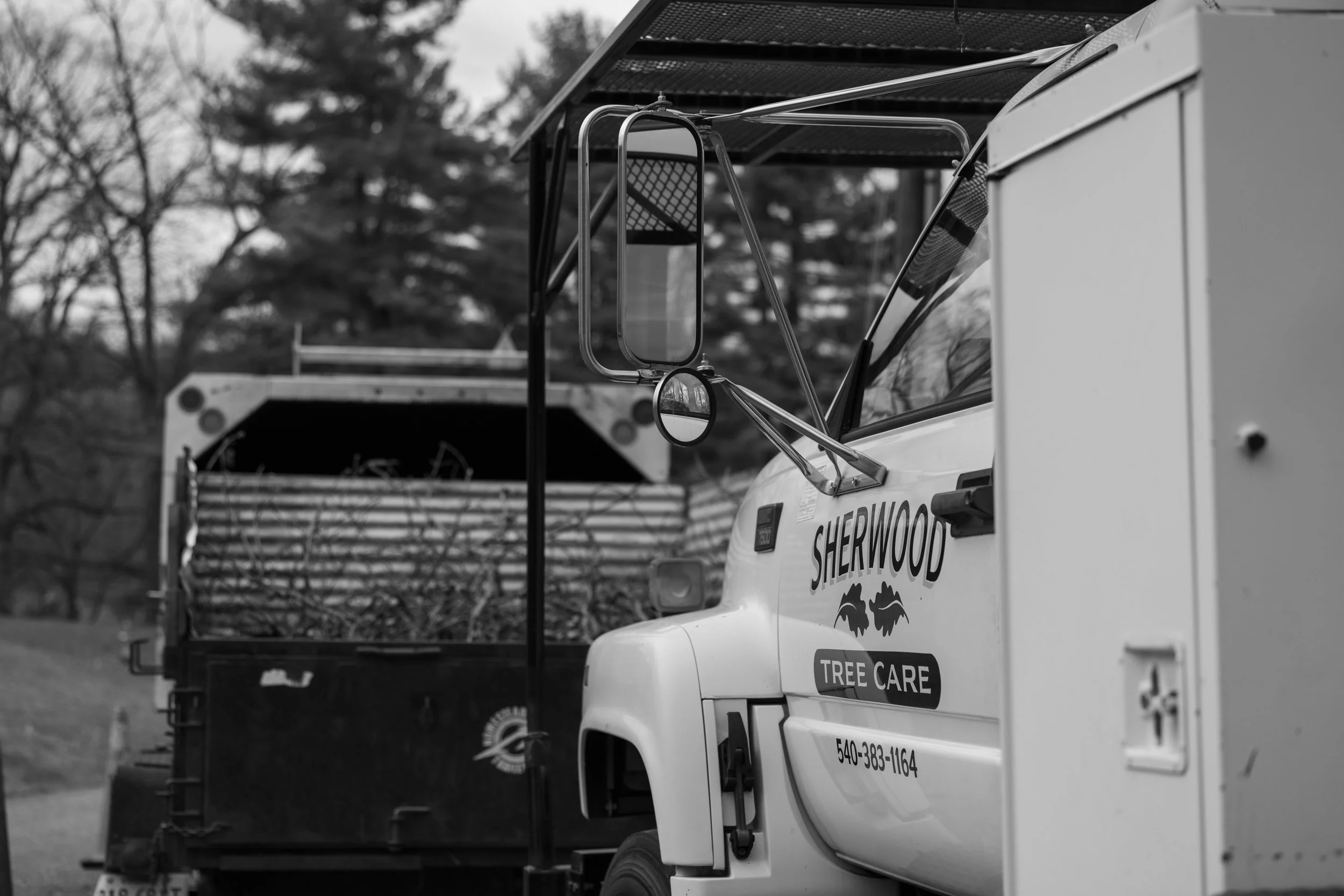 SHERWOOD TREE CARE_DAY2_6.jpg