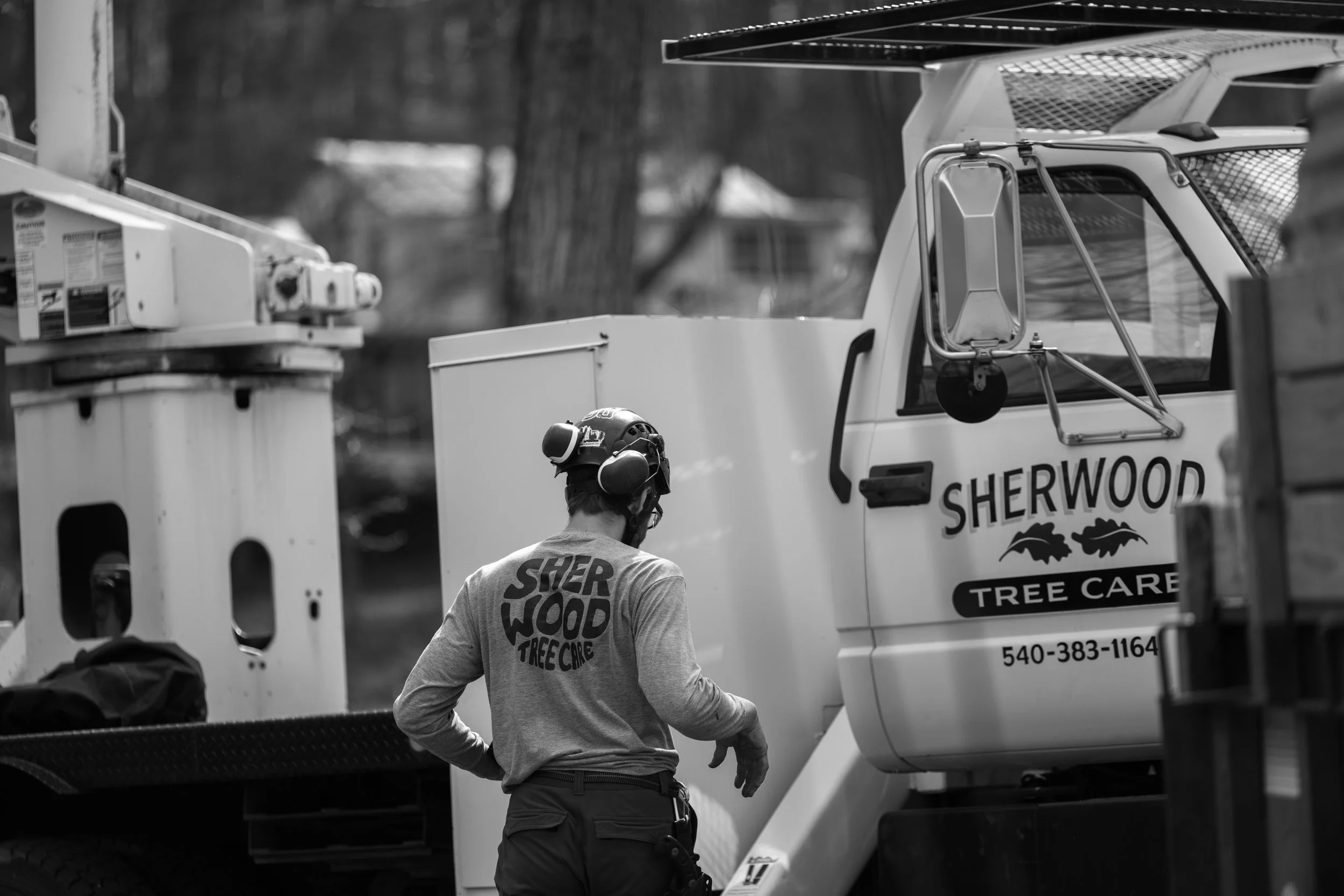 SHERWOOD TREE CARE_DAY2_53.jpg