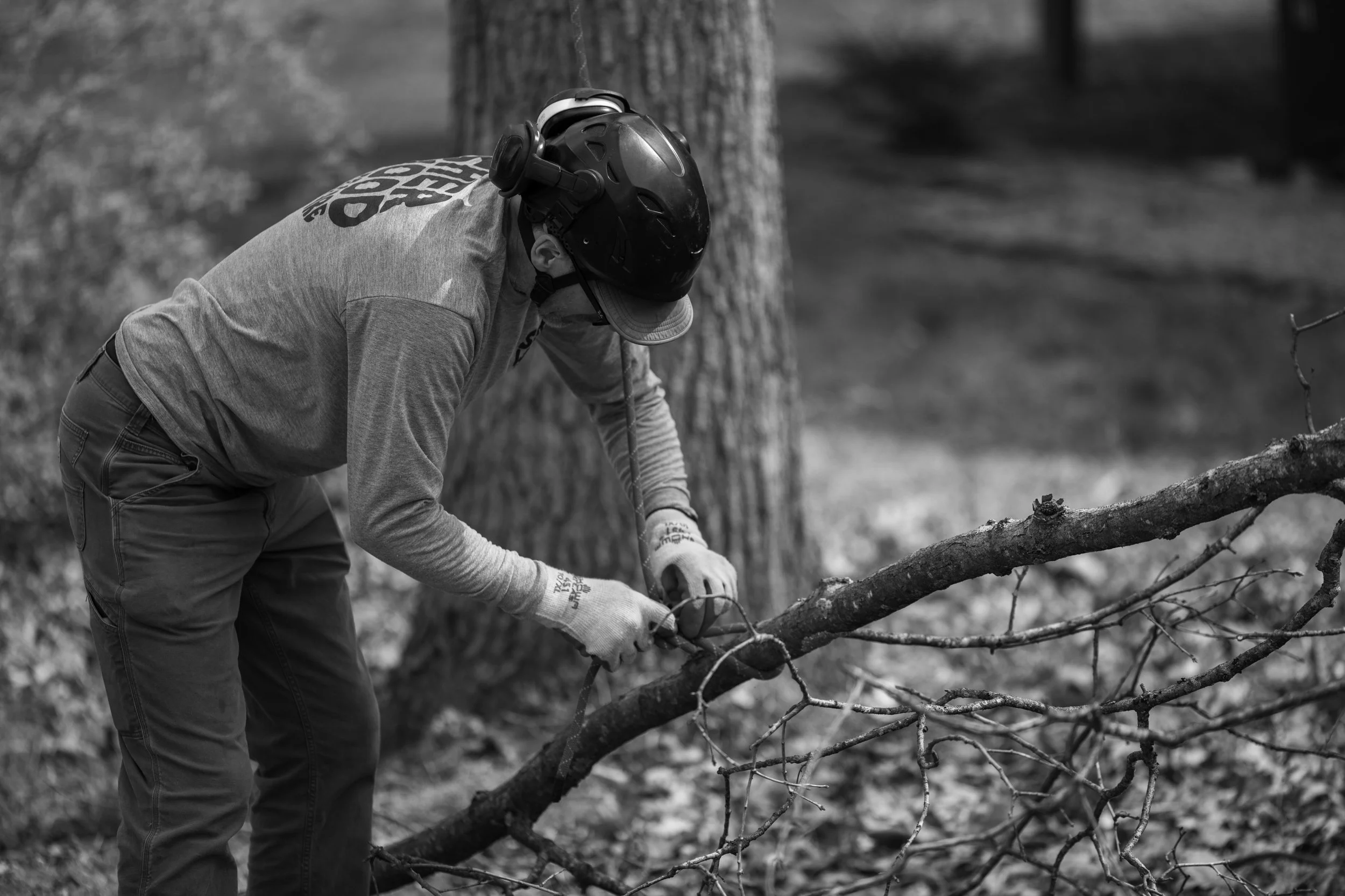 SHERWOOD TREE CARE_DAY2_68.jpg