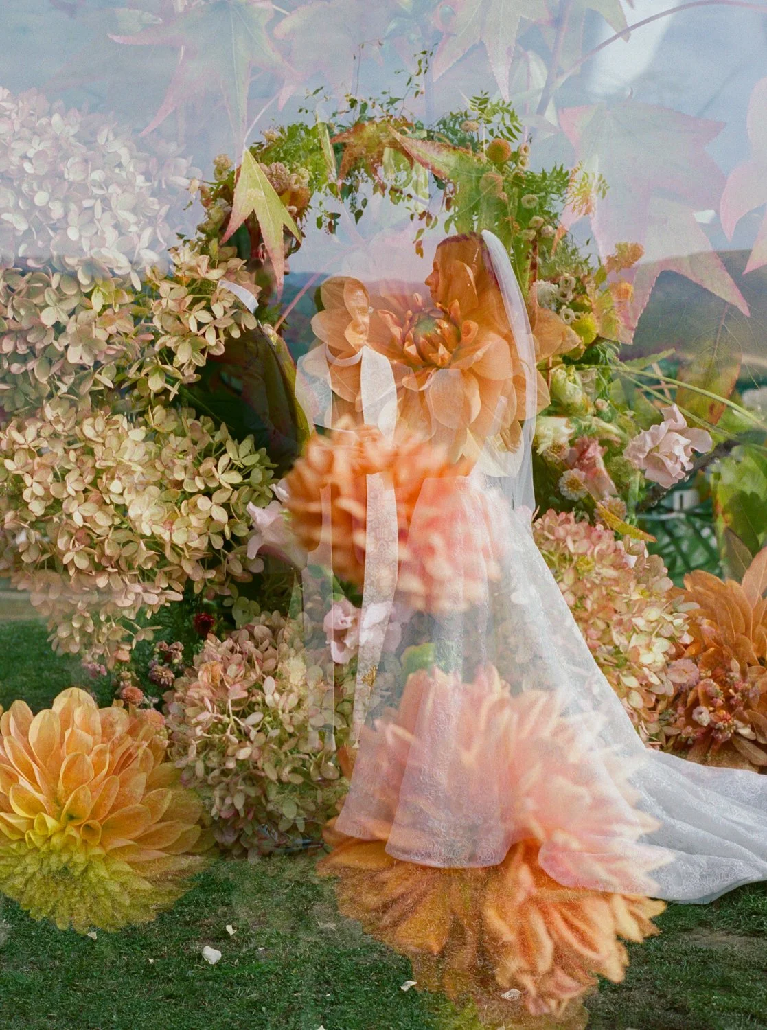 Olivia Film Preview5_websize.jpg