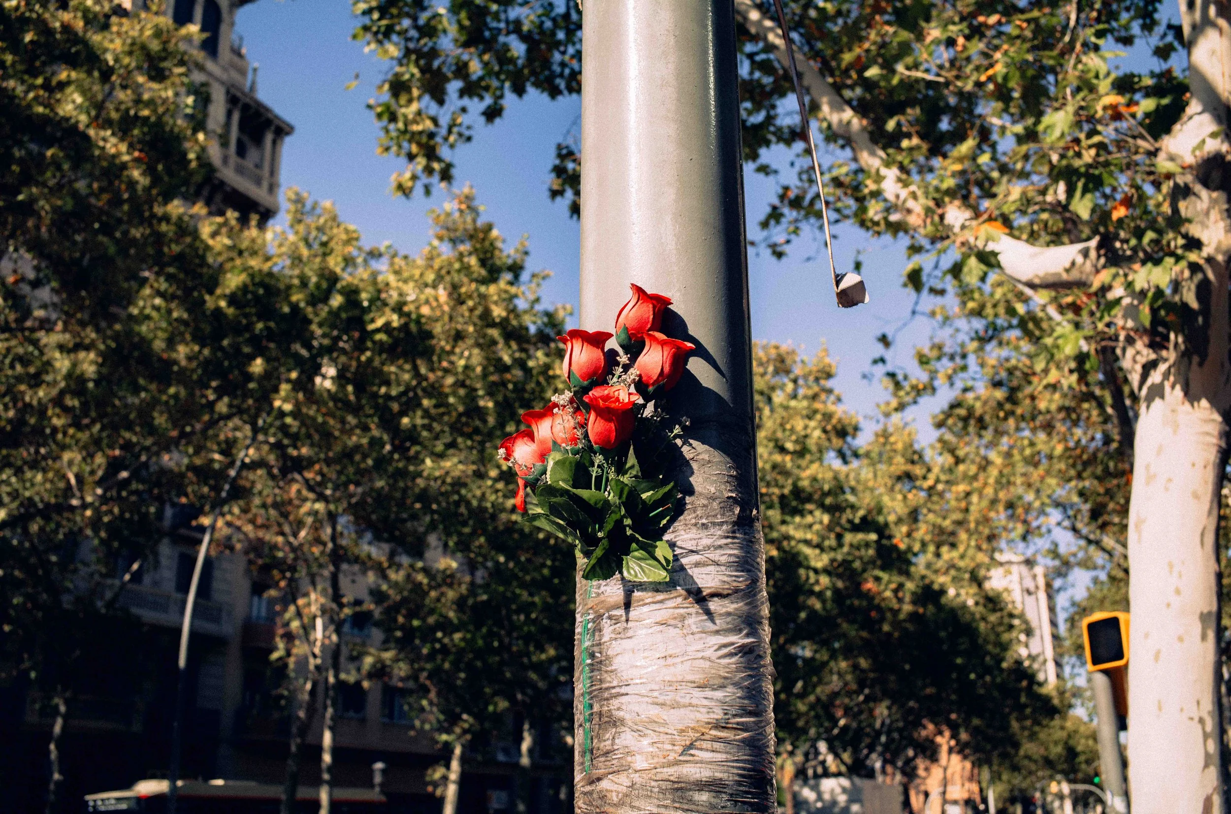Flowers-1.jpg