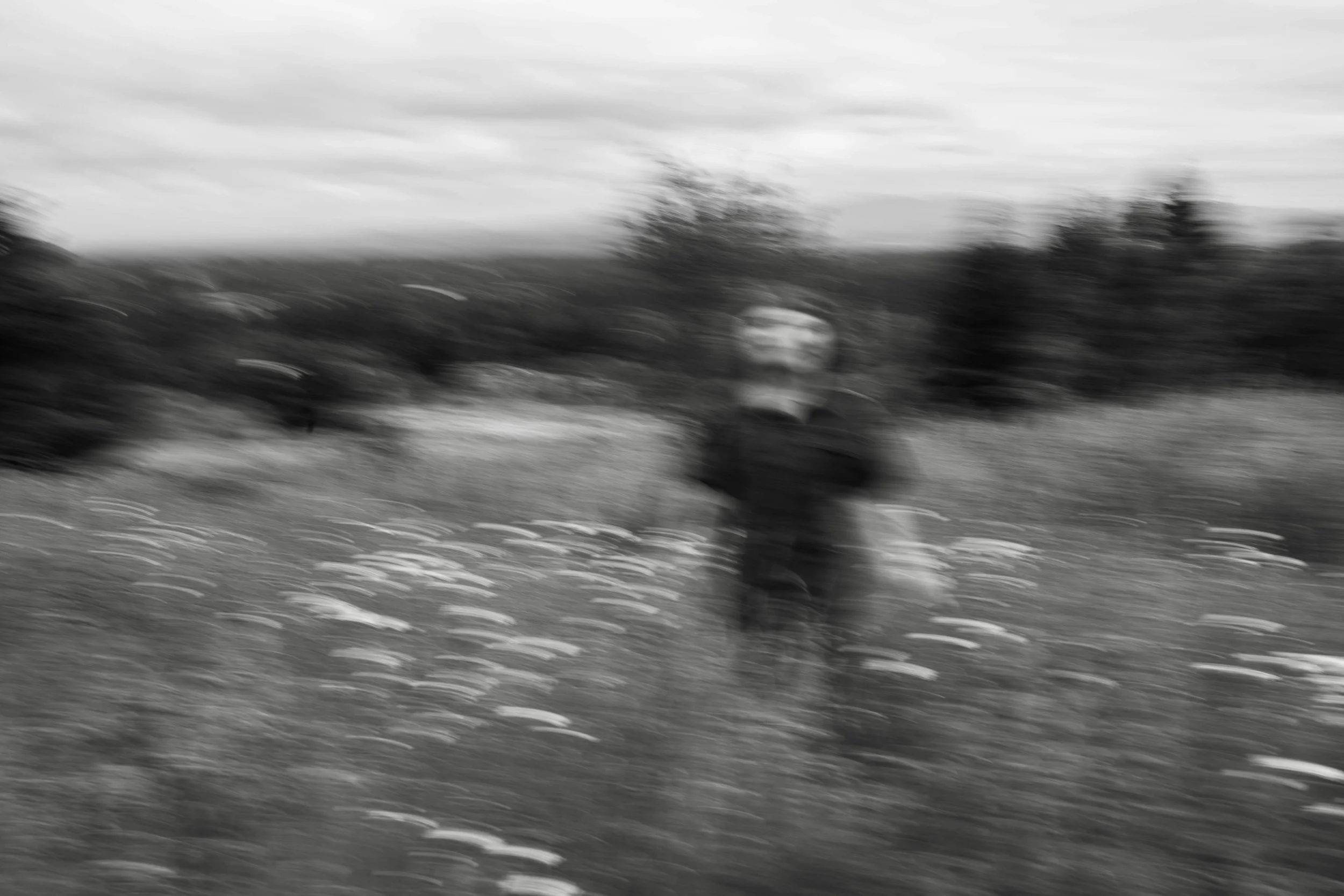 Blurry black-and-white photo of a person walking in a field with flowers, with trees and a cloudy sky in the background.
