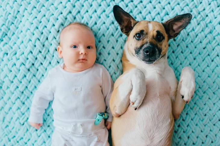 Why Recurring Pet Care Is a Lifesaver for New Moms