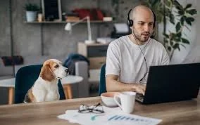 I Work From Home — Do I Really Need a Dog Walker?
