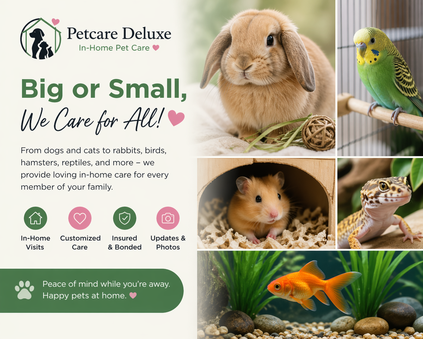 Do Pet Sitters Care for Small Pets? (Rabbits, Hamsters, Birds &amp; More)