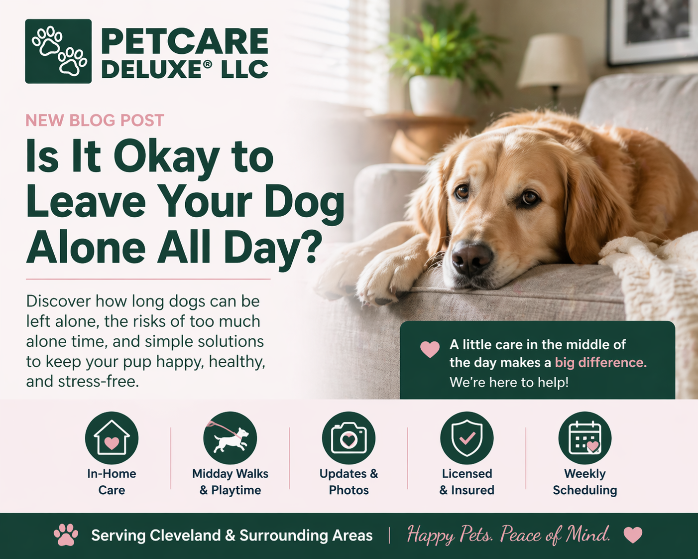 Is It Okay to Leave Your Dog Alone All Day? What Every Owner Should Know