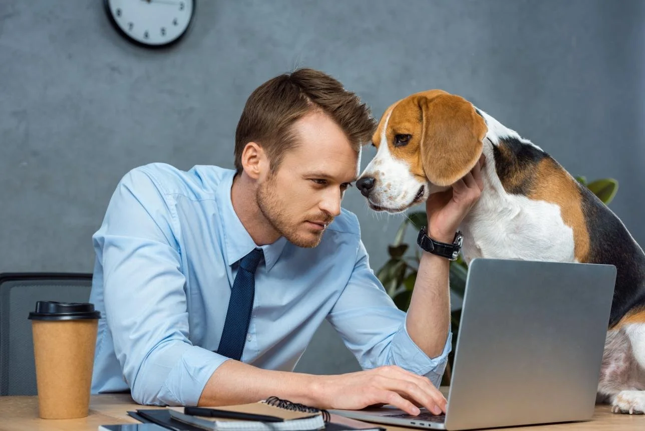How Successful Professionals Manage Pet Care