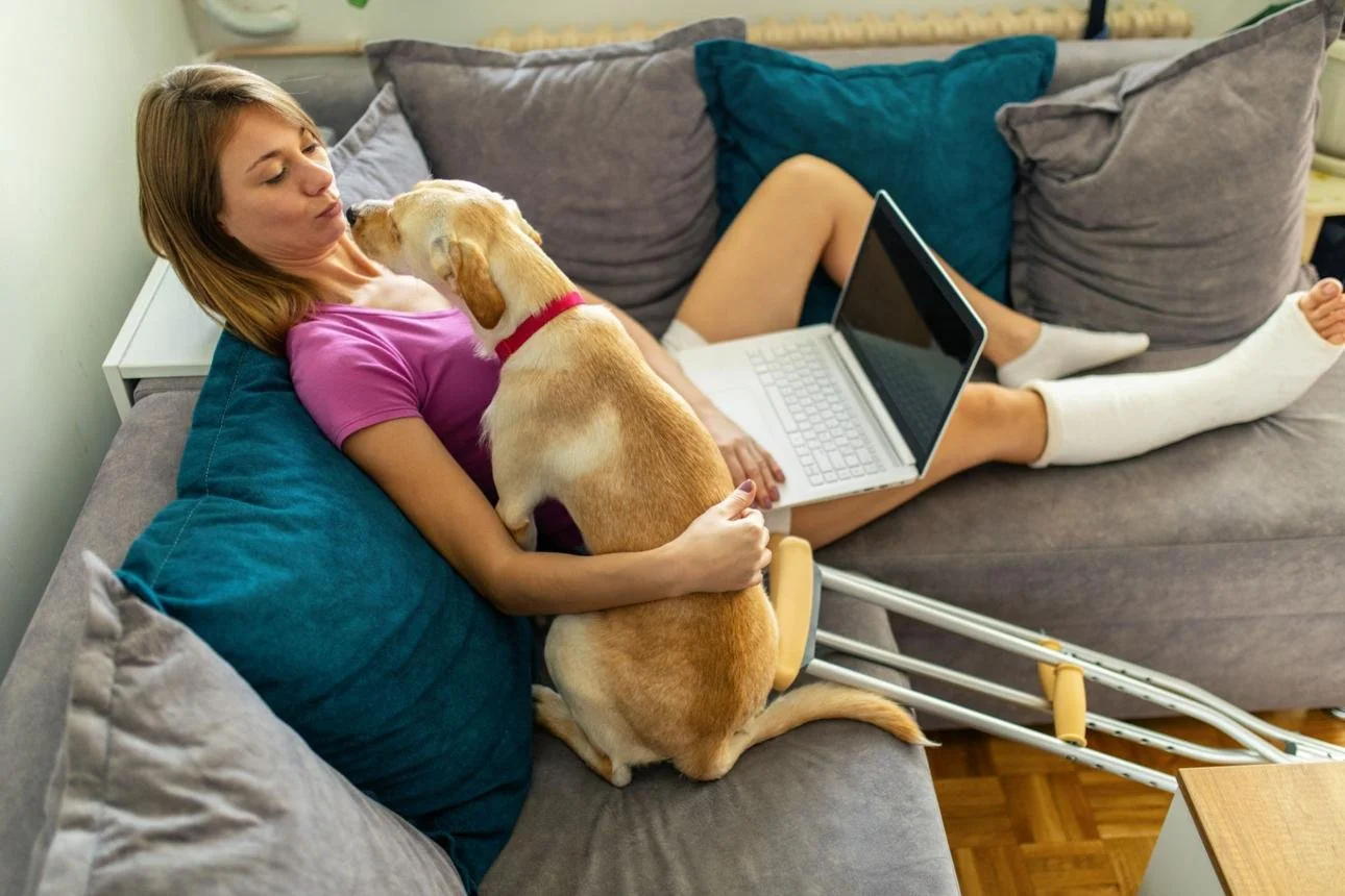 What to Do With Your Dog While Recovering from an Injury