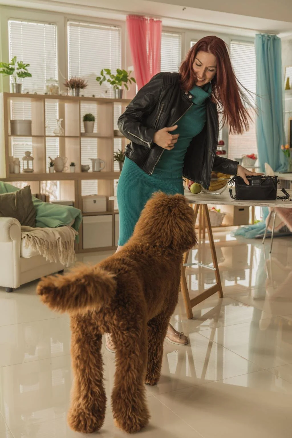 Temporary Dog Walking Help That Turns Into Long-Term Support