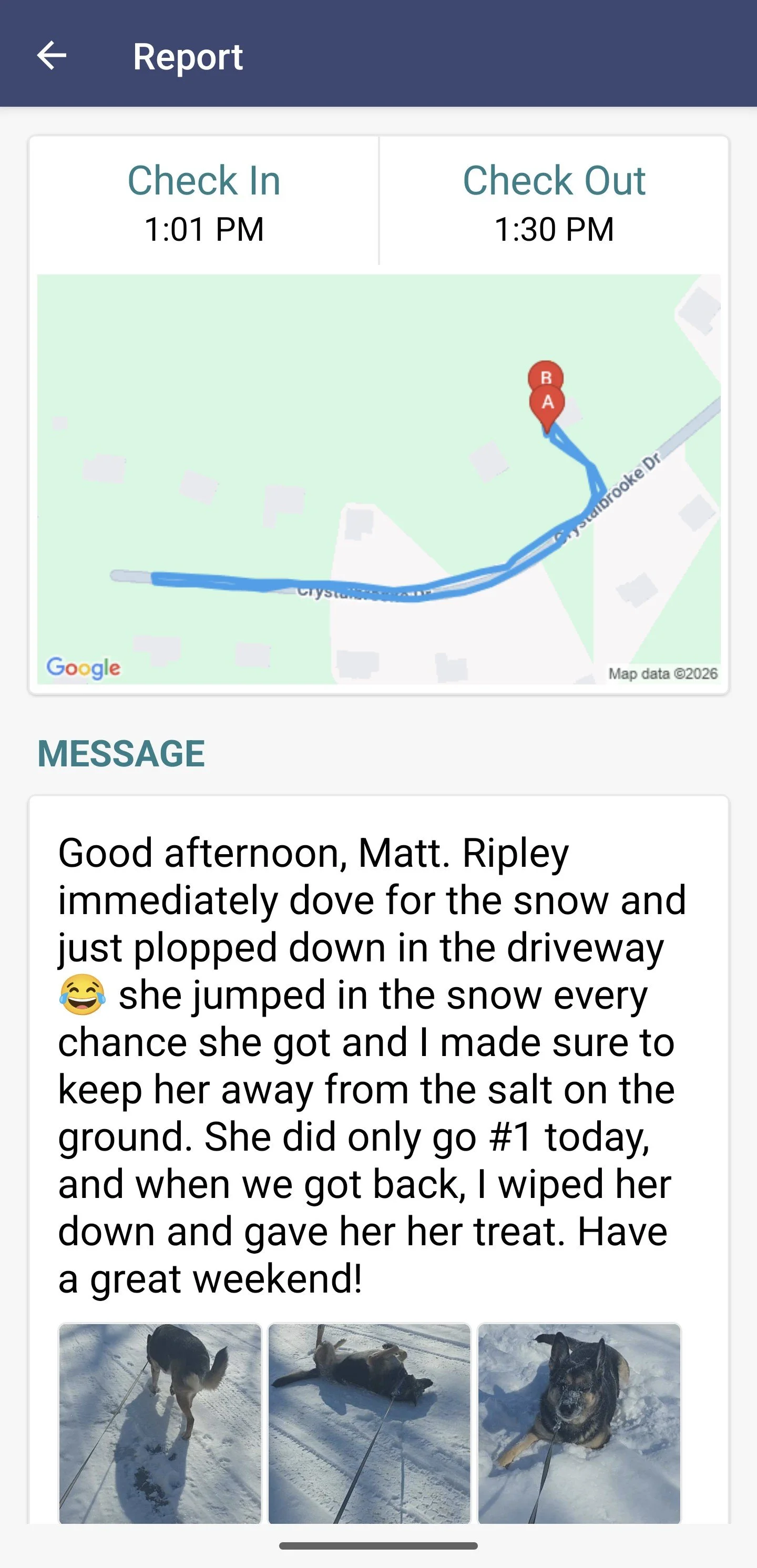 A screenshot of a mobile app report showing a map with a route from point A to B on S. Youndrook Drive, a message about a dog named Ripley playing in the snow, and three photos of a dog in the snow.