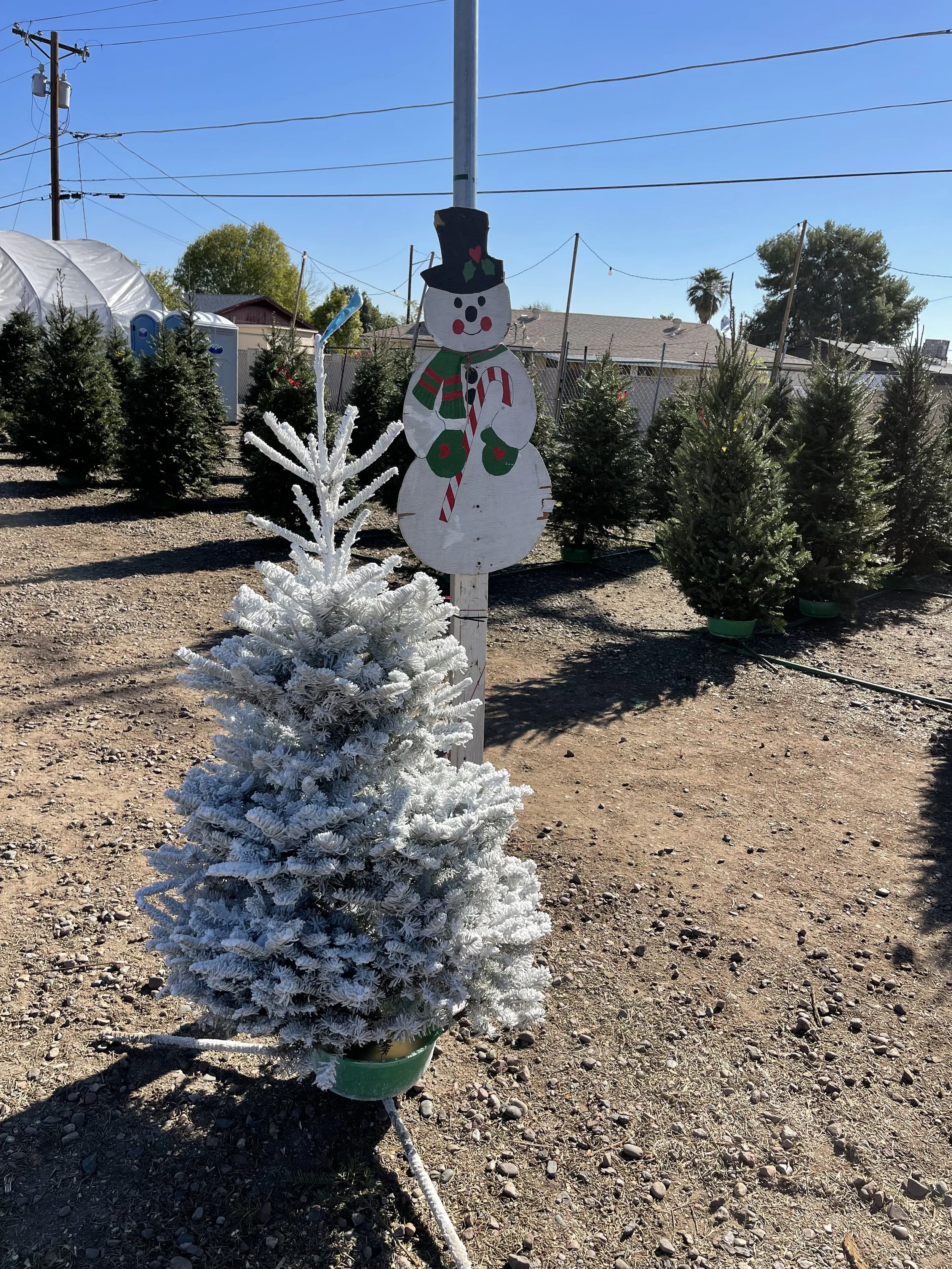 baby flocked tree.jpg