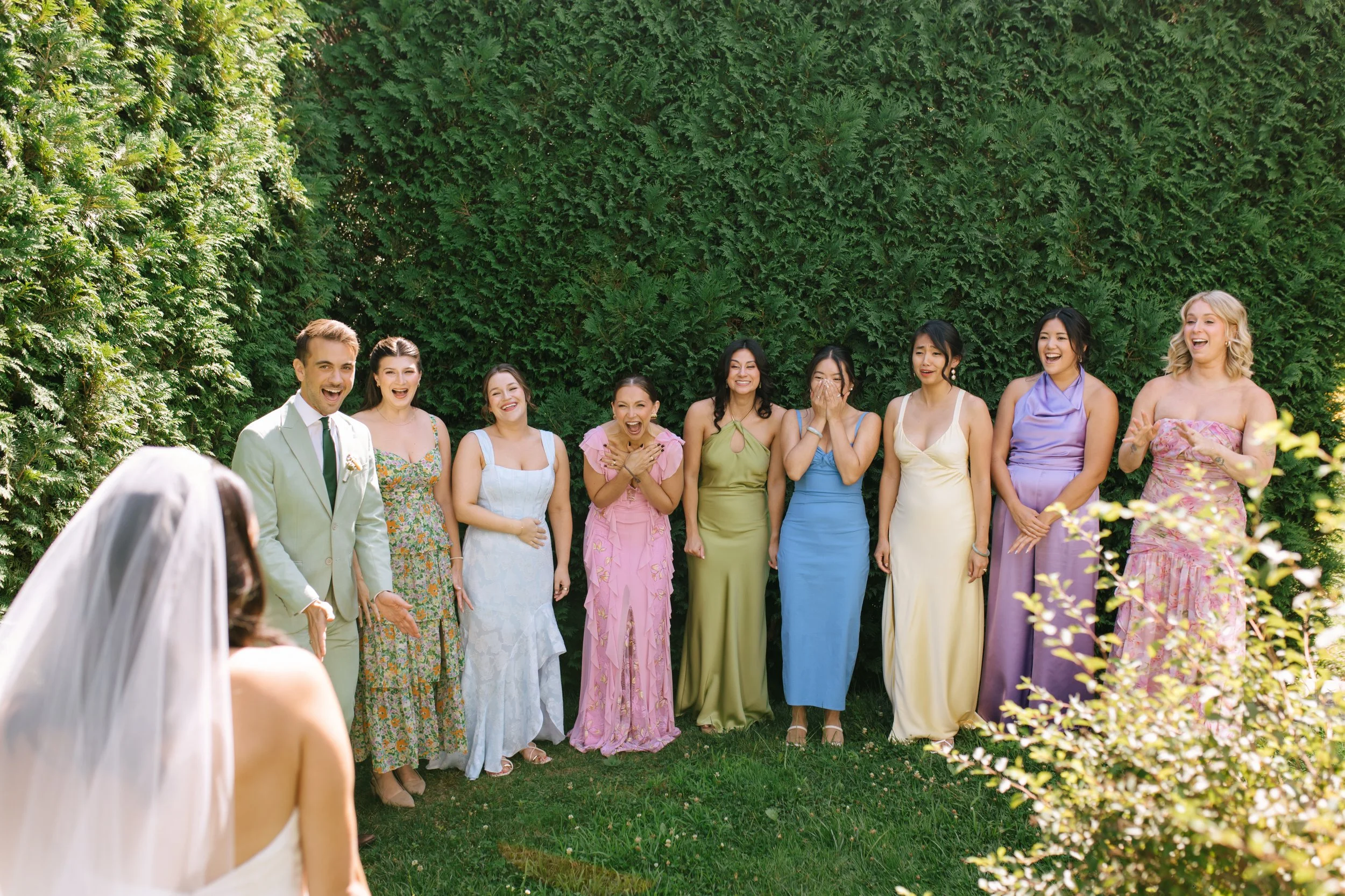 Bride in white dress with veil, facing away, watching laughing group of women and a man in colorful dresses and suit, standing on grass in front of a green hedge at an outdoor wedding.