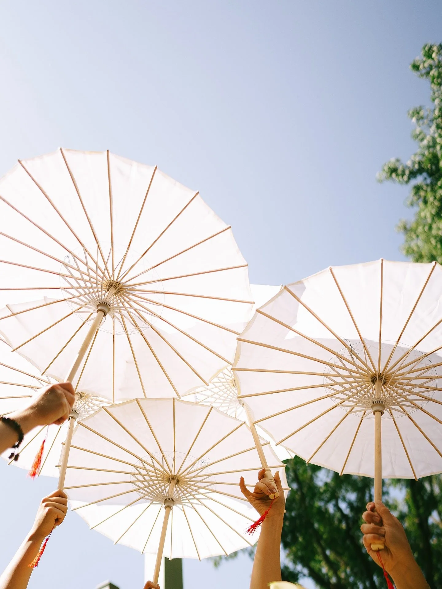 Celebrating simple beauty &mdash; white blooms, fresh baguettes, and golden light dancing through the trees.

#bostonweddingphotographer #bostonwedding #bostonbride