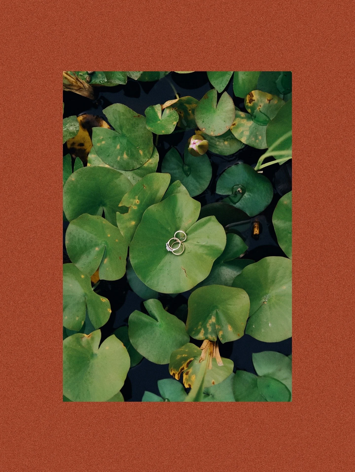 Throwback to those endless summer days 
-
Venue: @glenmagnafarms 
HUMA: @fei_xu_beauty_studio 
DJ: @uniquesoundsent 
Florals: @illumefloral