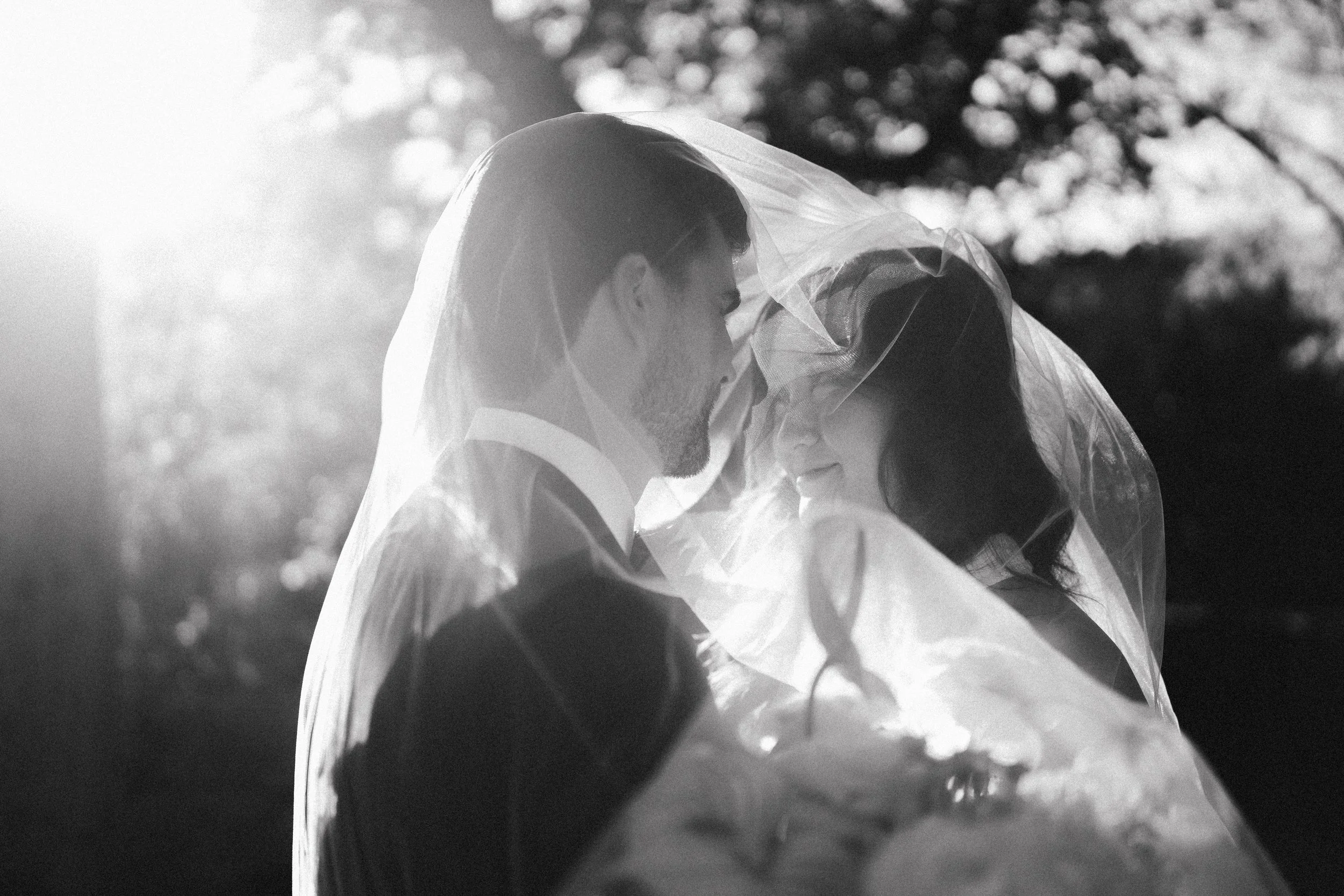 A Cinematic Wedding at&nbsp;Glen Magna Farms 