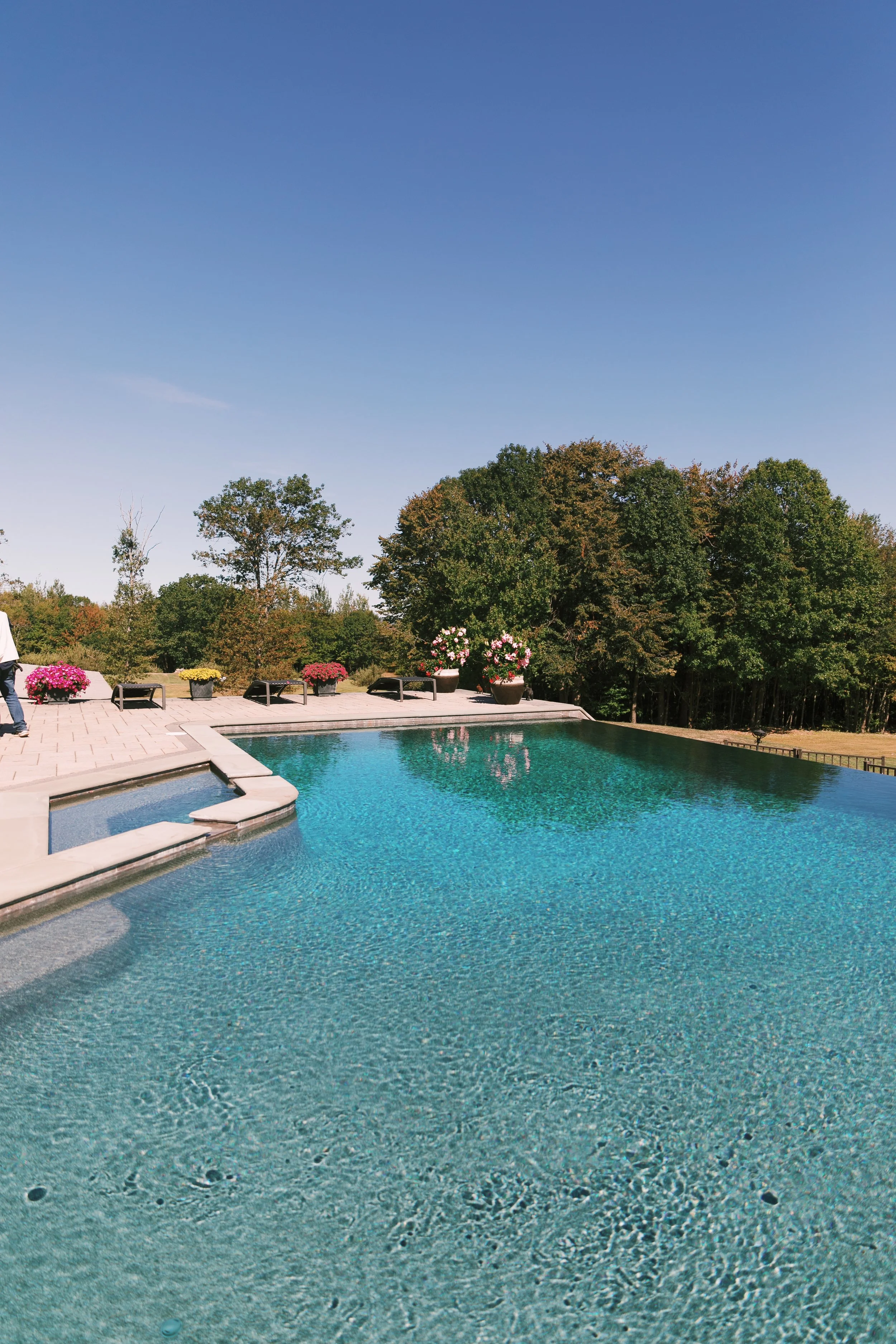A spacious outdoor swimming pool with a hot tub corner, surrounded by a deck with potted flowers, and lush green trees in the background under a clear blue sky.