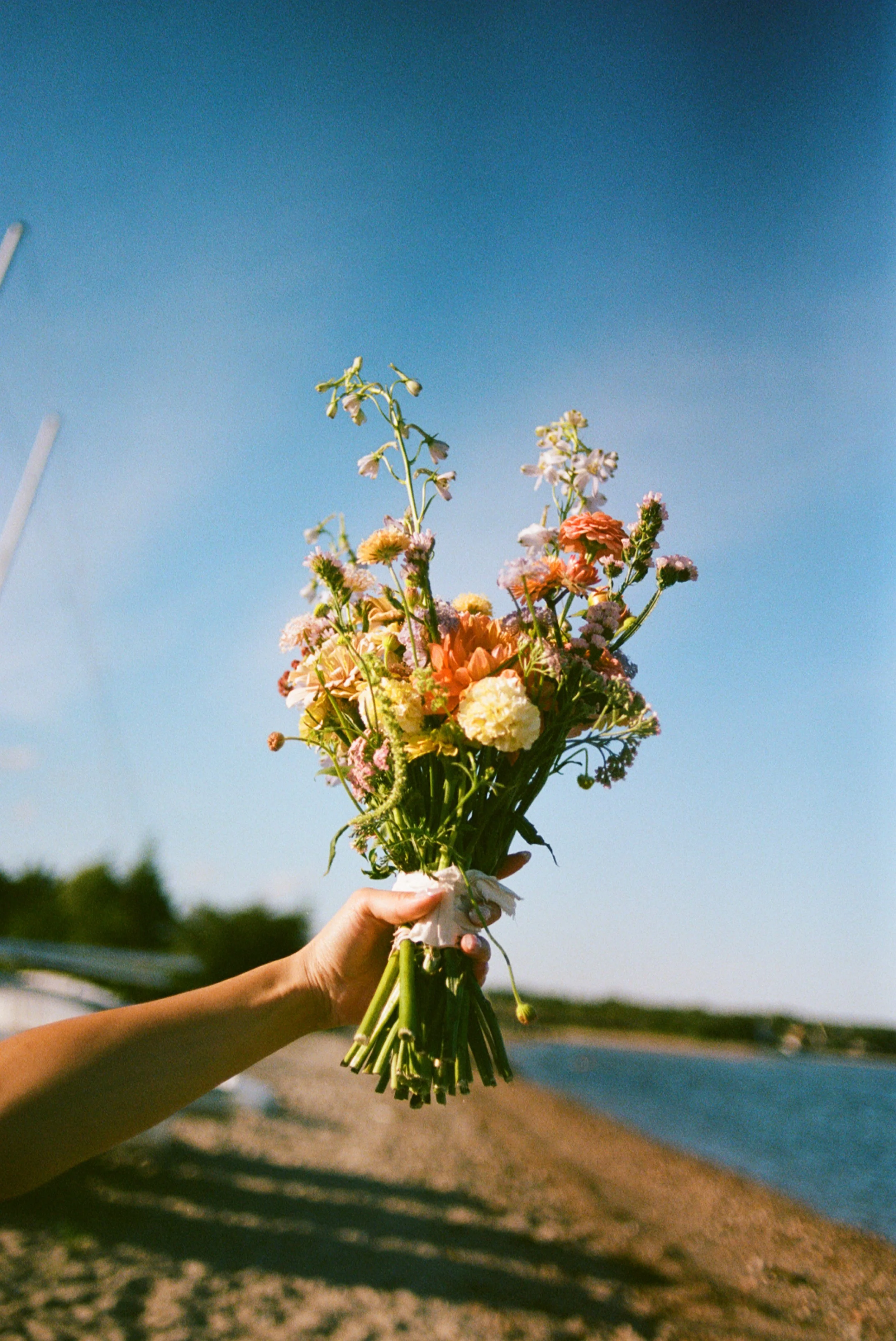 Person holding a bouquet of colorful flowers outdoors near a water body on a clear day.