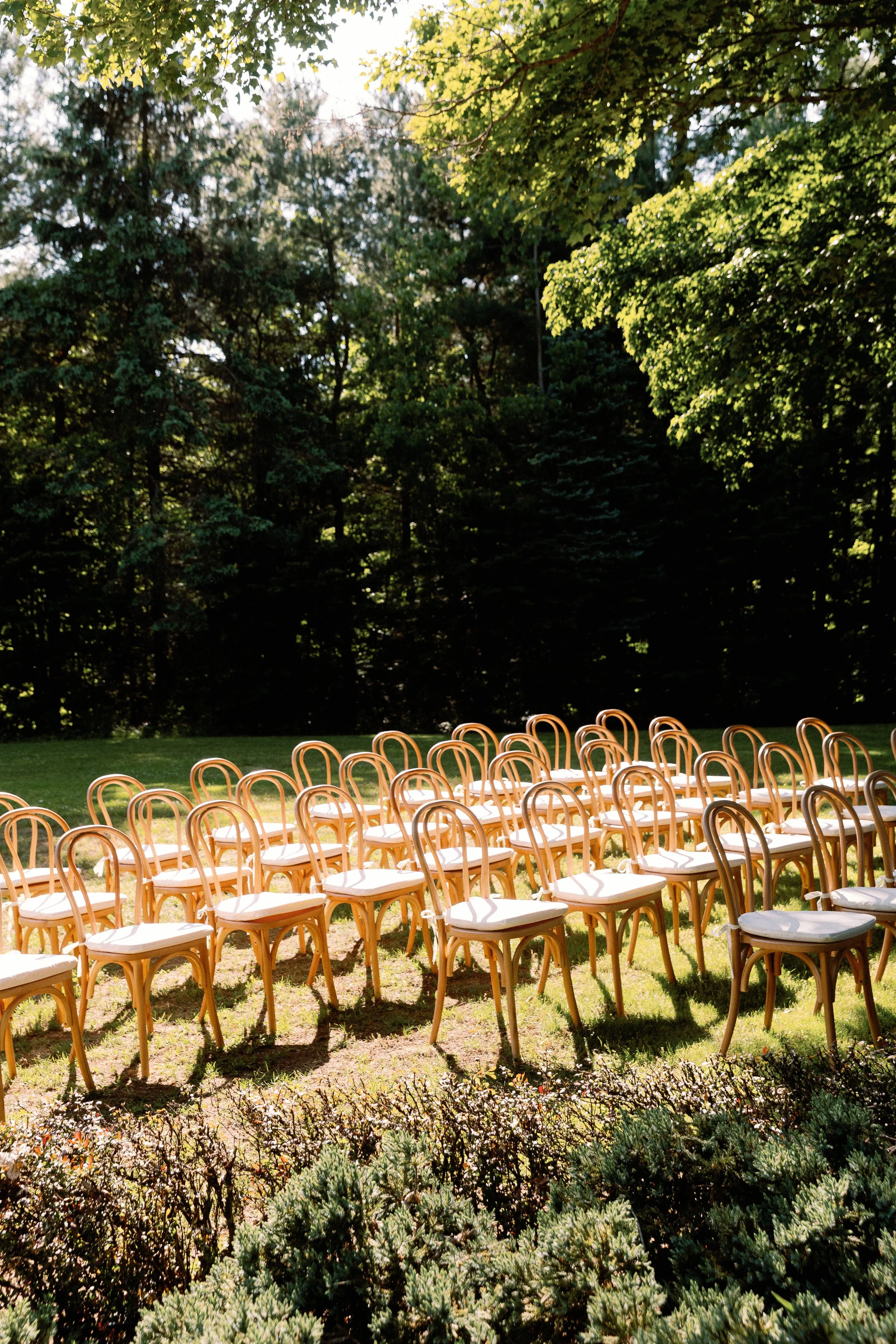 Outdoor event setup with multiple wooden chairs arranged in rows on grass, surrounded by greenery and trees, with sunlight filtering through the leaves.