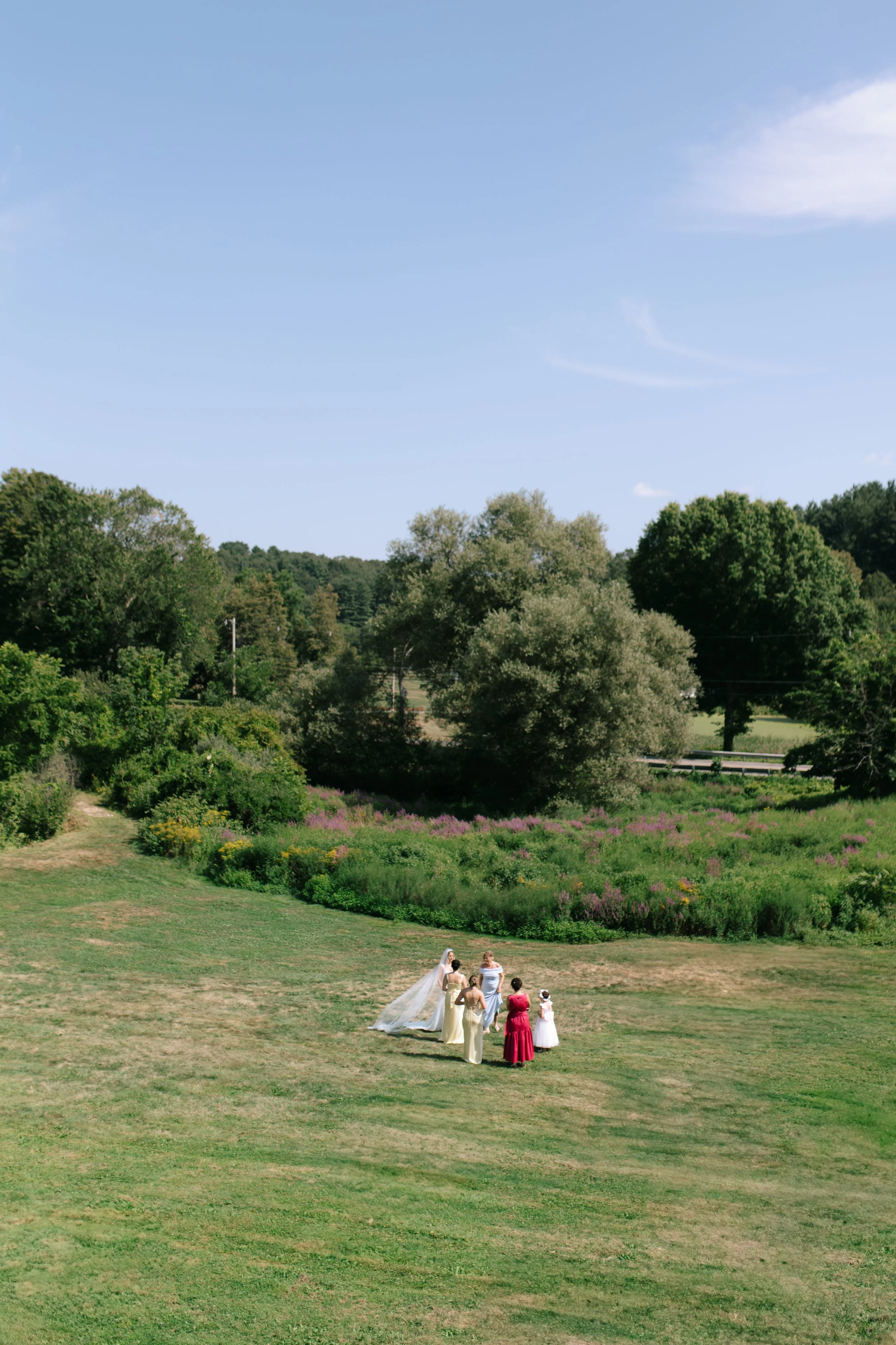 A small group of people, including a bride in a wedding gown, standing in a grassy field with trees and shrubs in the background on a clear day.
