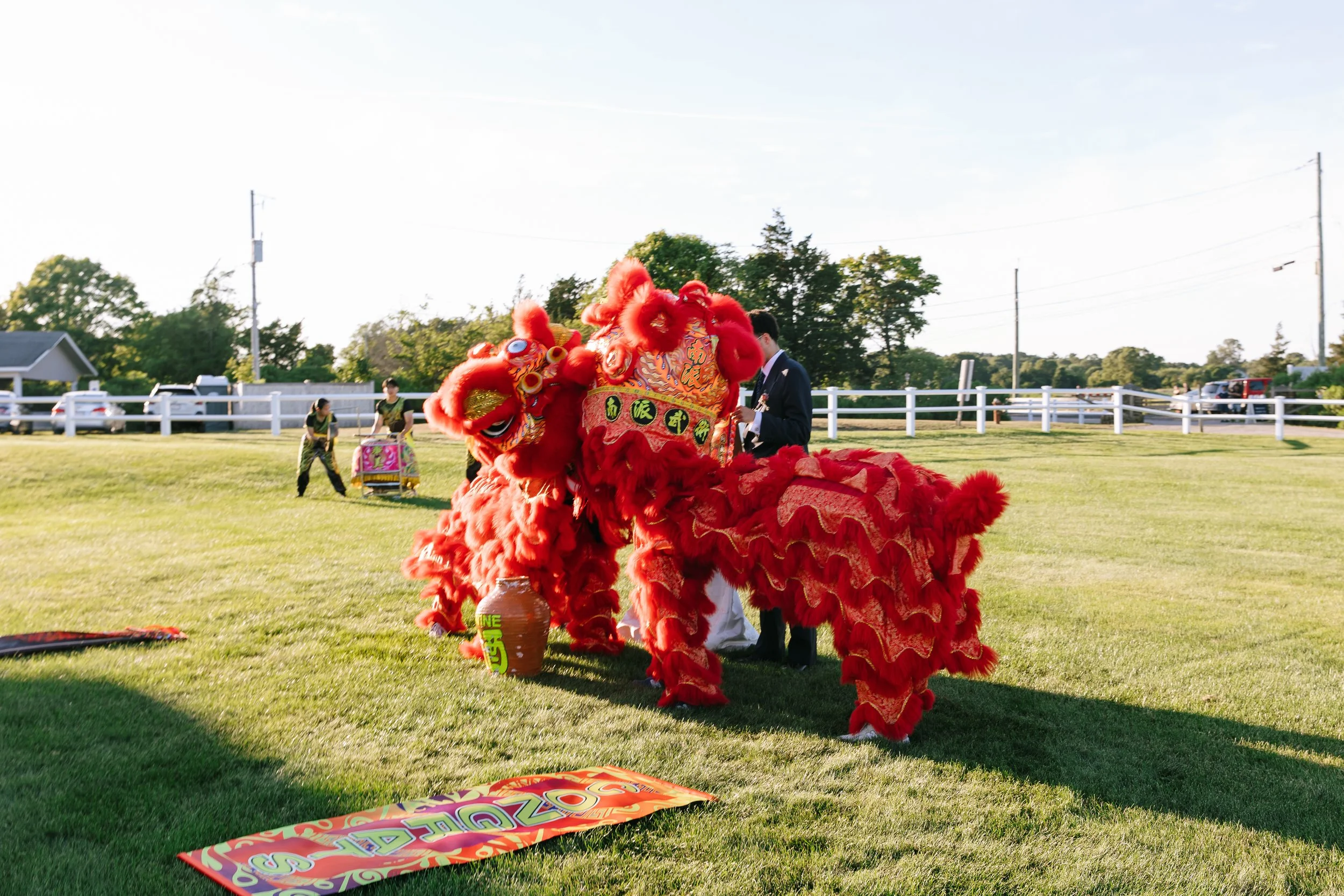 Two red lion dance costumes in a grassy field during a celebration, with people and cars in the background.