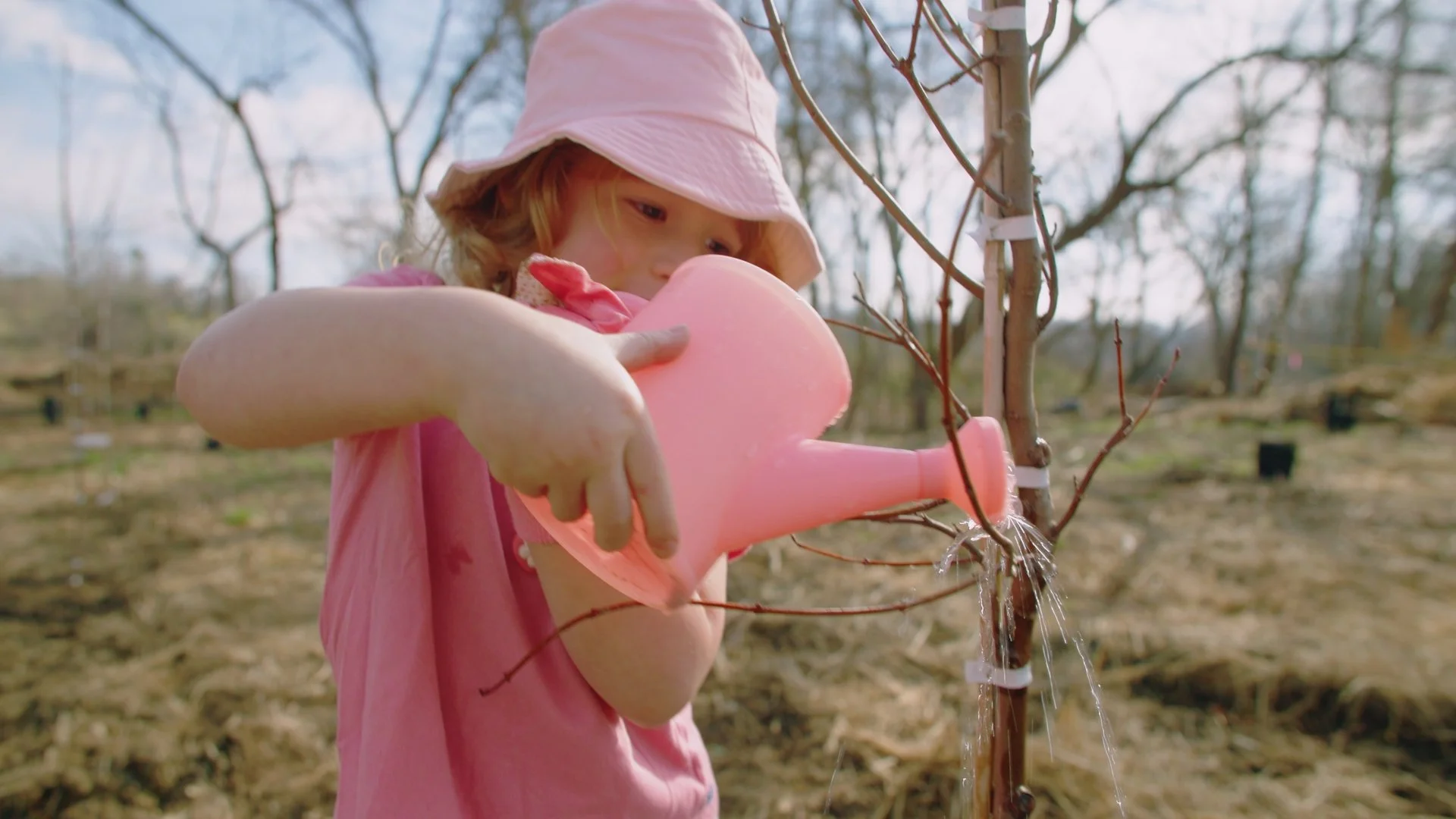 Conserving Carolina - Planting Hope