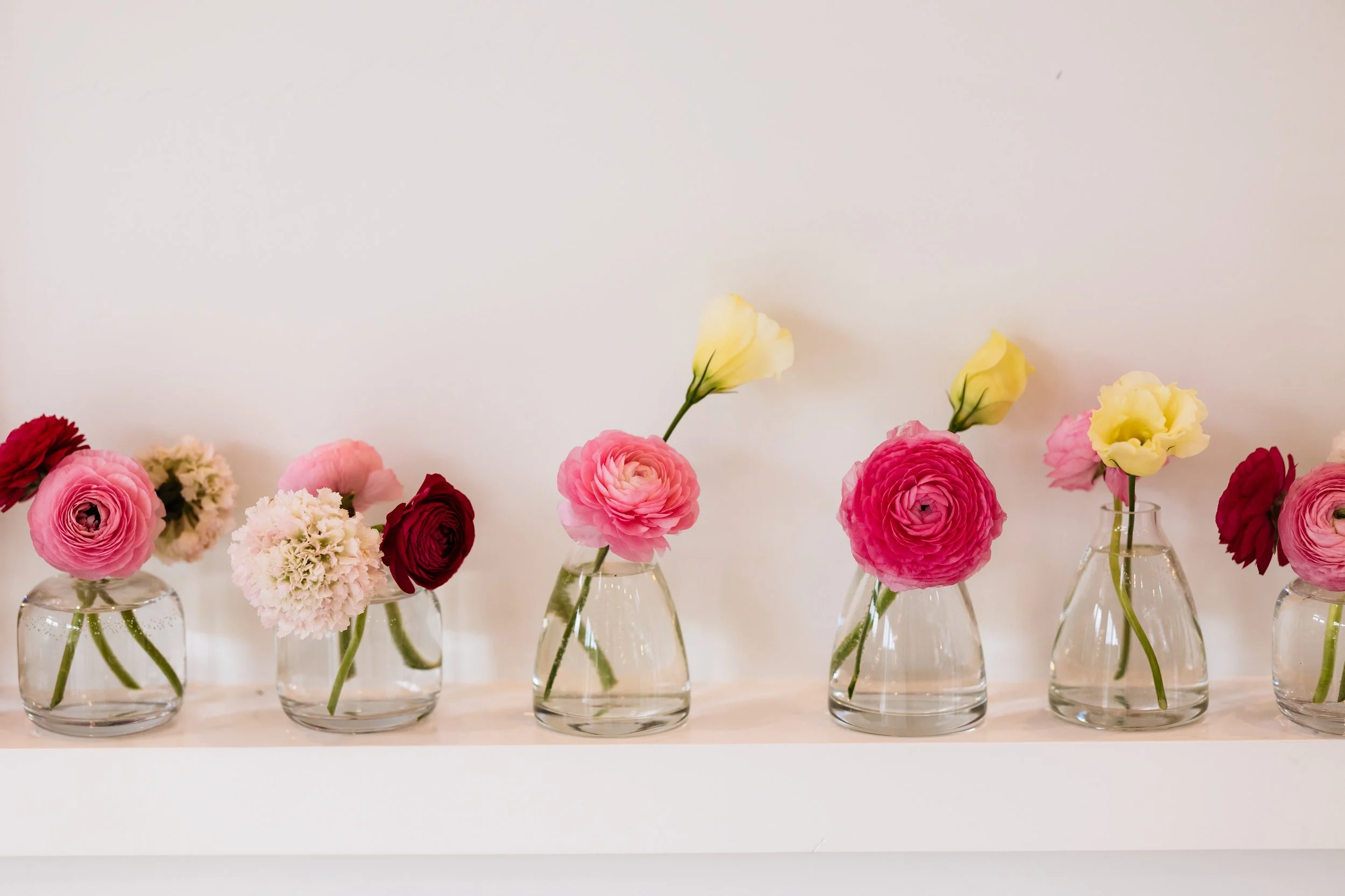Pink flowers on wall.jpg
