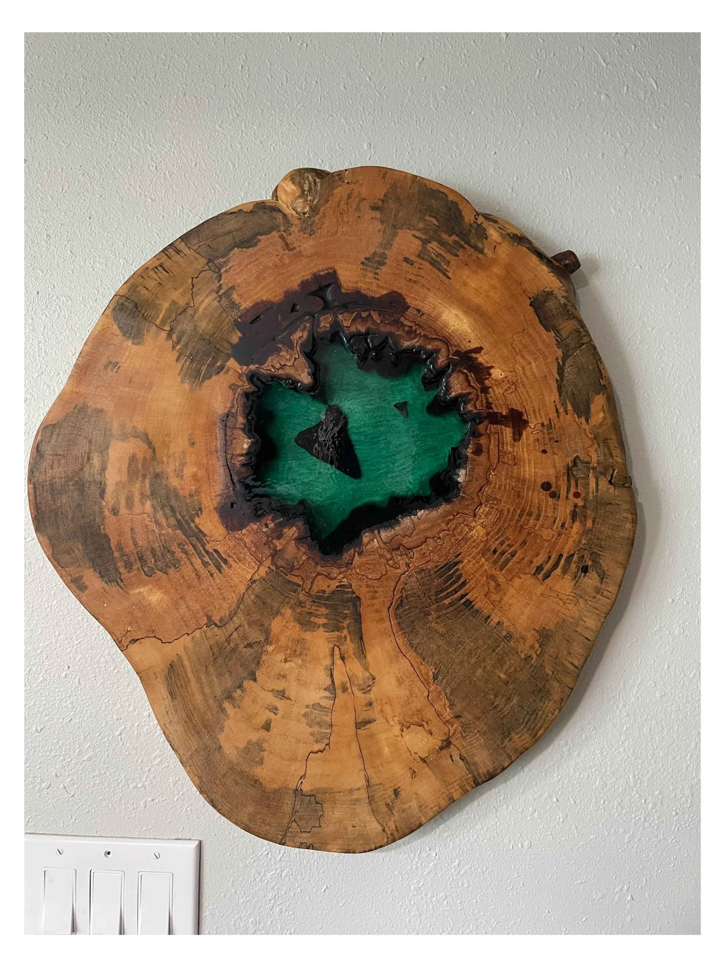 Wall Art / Norfolk Pine with Megalodon tooth.