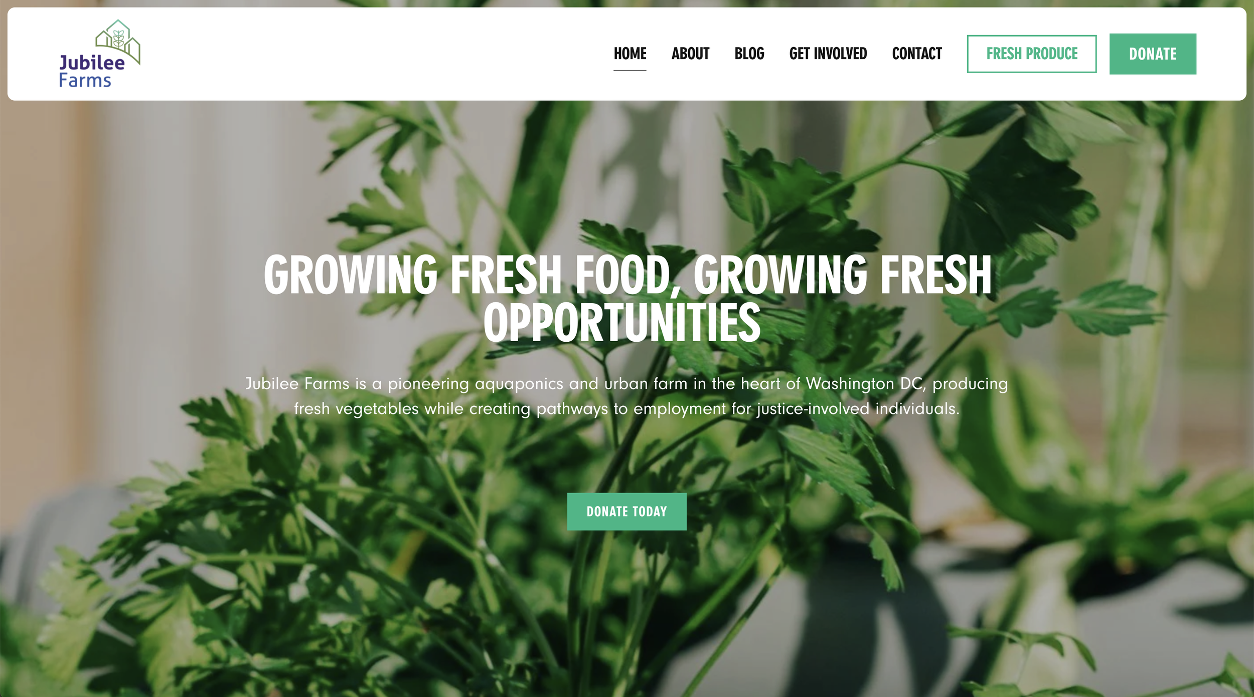 Jubilee Farms | Non-profit &amp; Food &amp; Beverage Website
