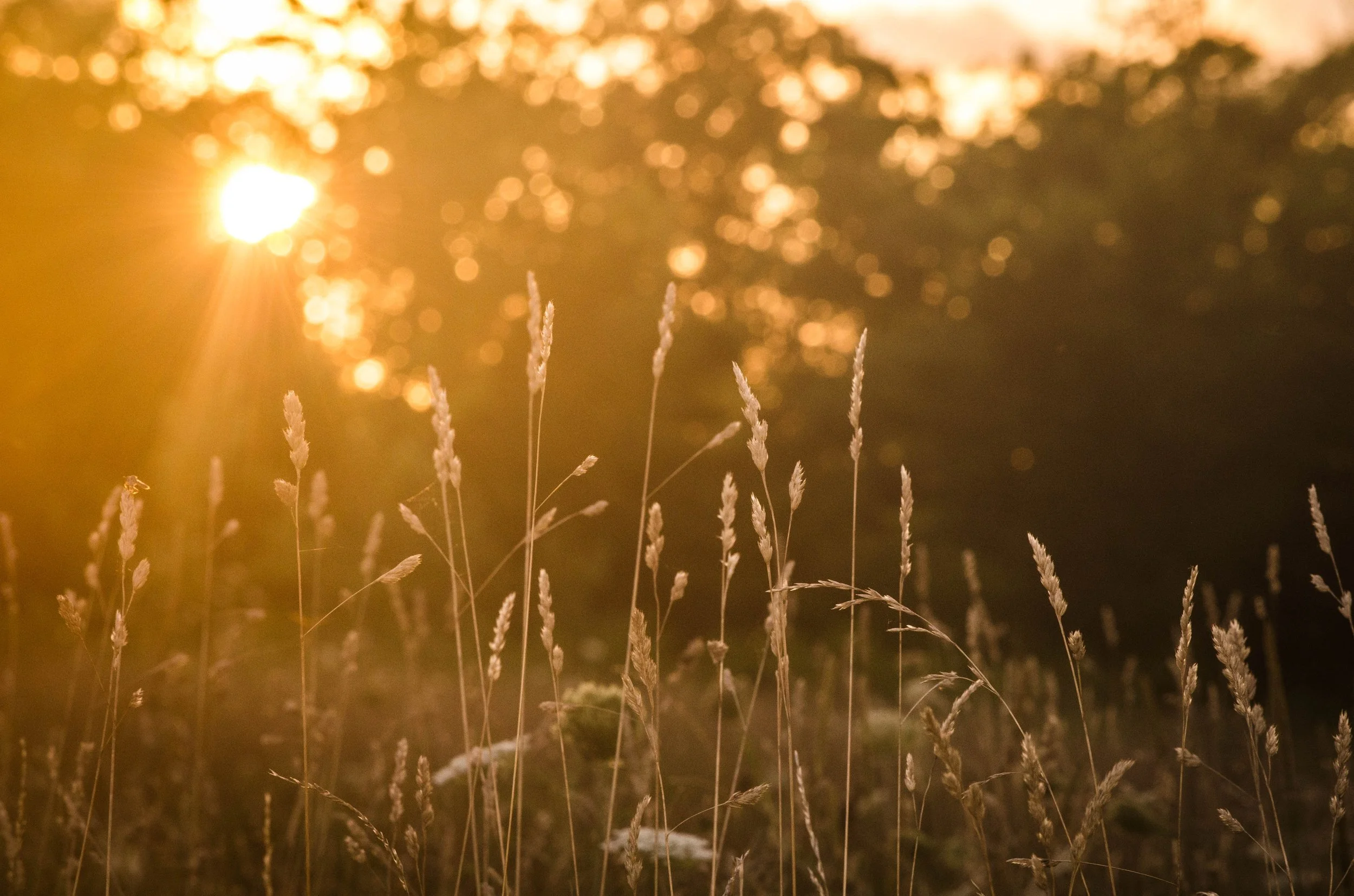 Nourishing Flow - Hoosier Yoga Spot