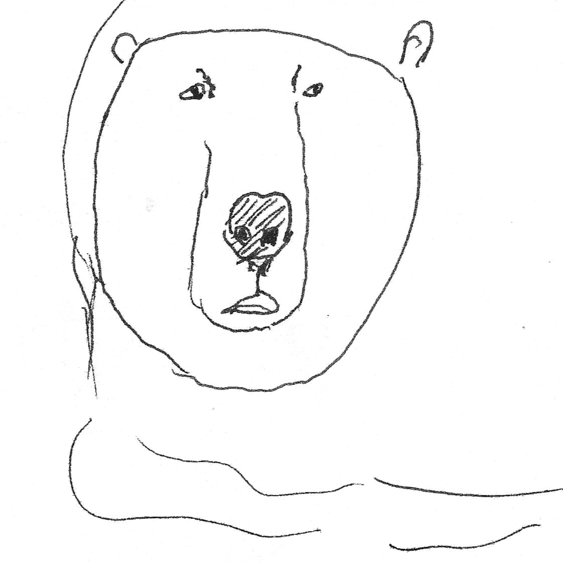 bear.png