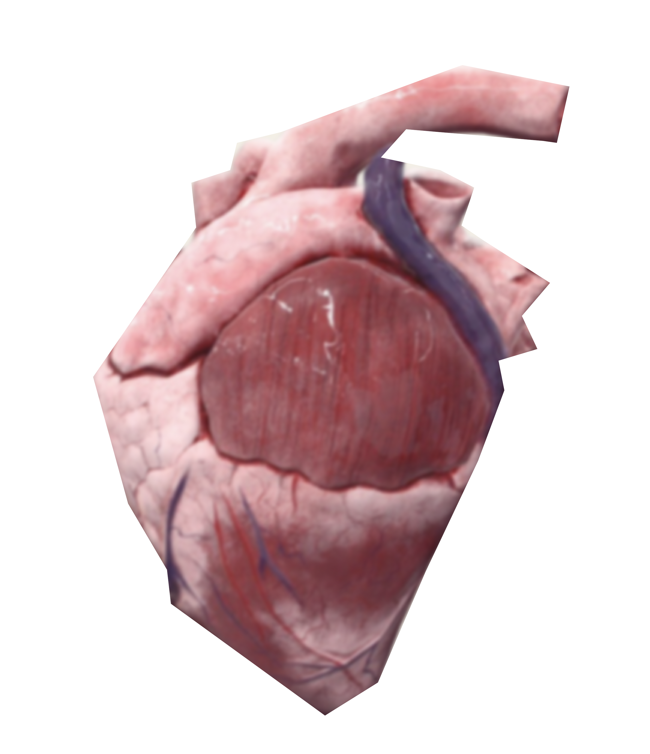 heart squared.png