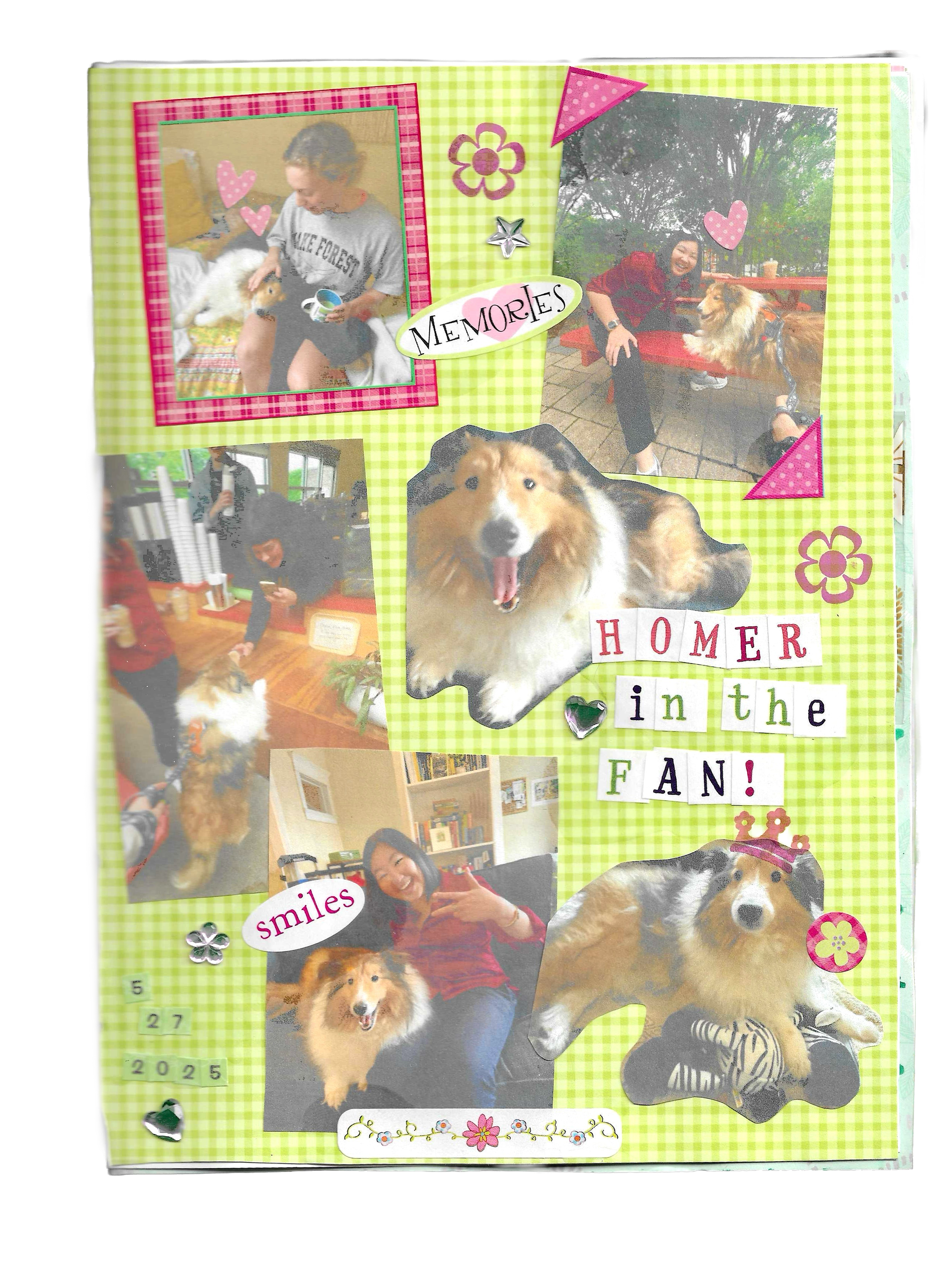 homer in the fan.png