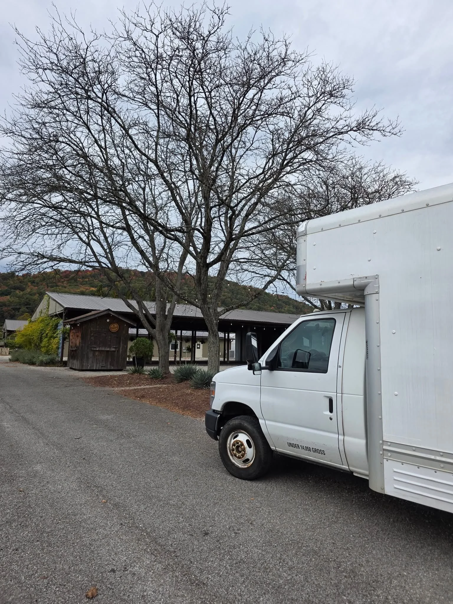 A parking lot with a large leafless tree, a wooden building, and a white delivery truck parked beside the tree. The sky is overcast.