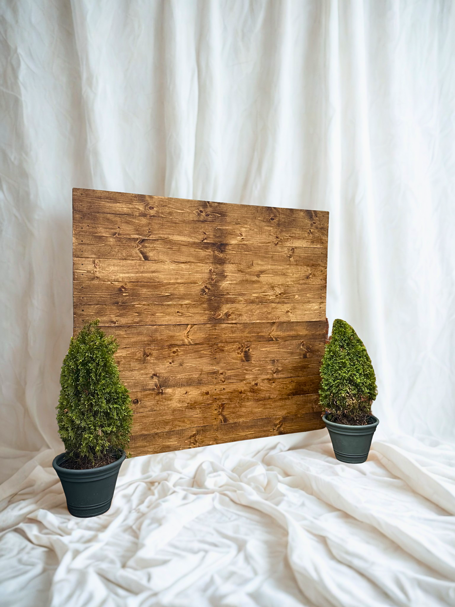 Wooden board with two potted evergreen shrubs on a white fabric background.