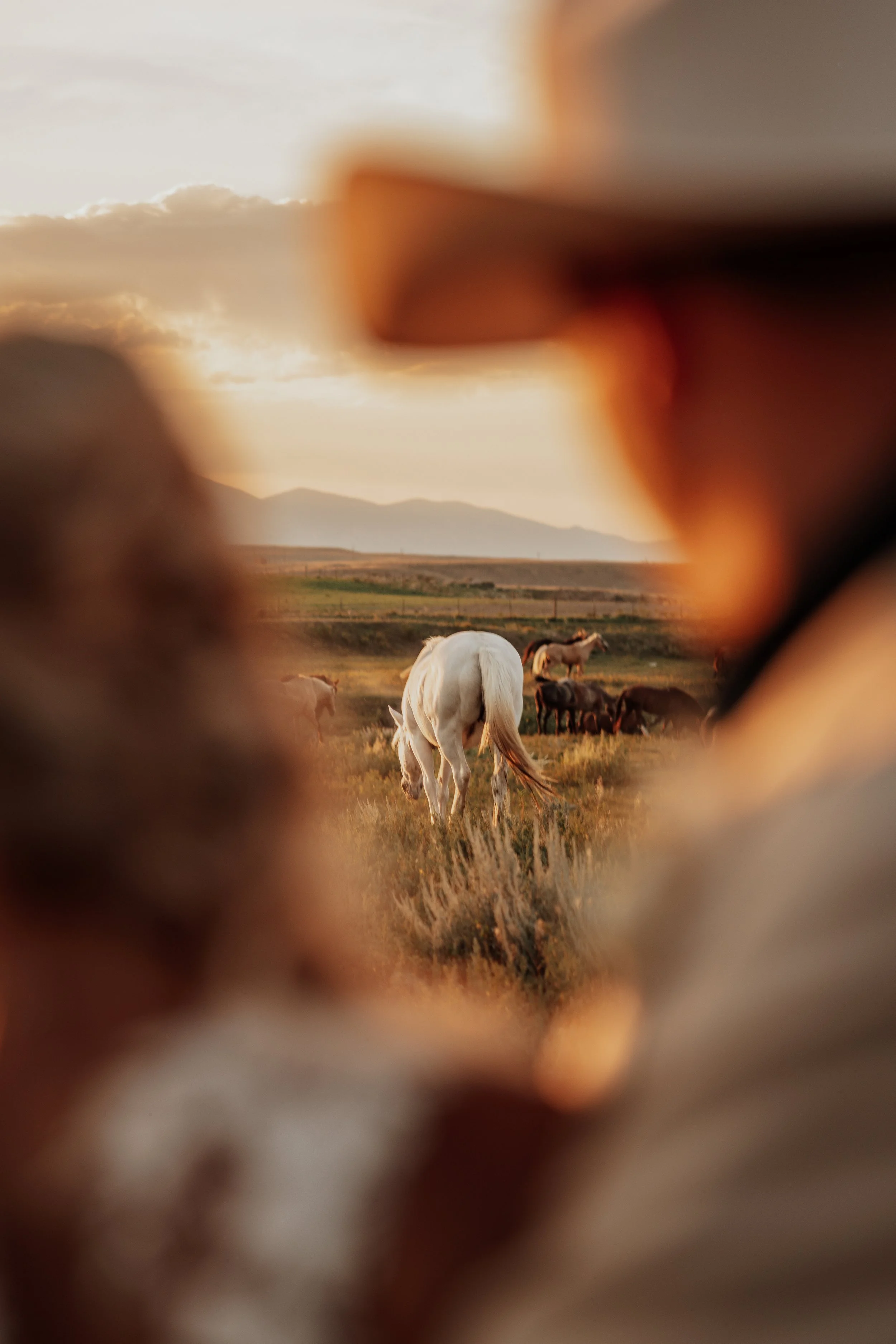 Trinity Burke Photography