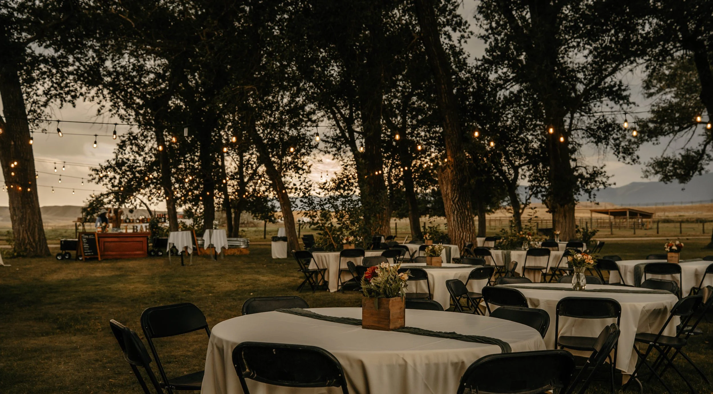 Outdoor event setup with round tables covered in white tablecloths, decorated with vases of flowers, under large trees with hanging string lights, in a rural setting during sunset.