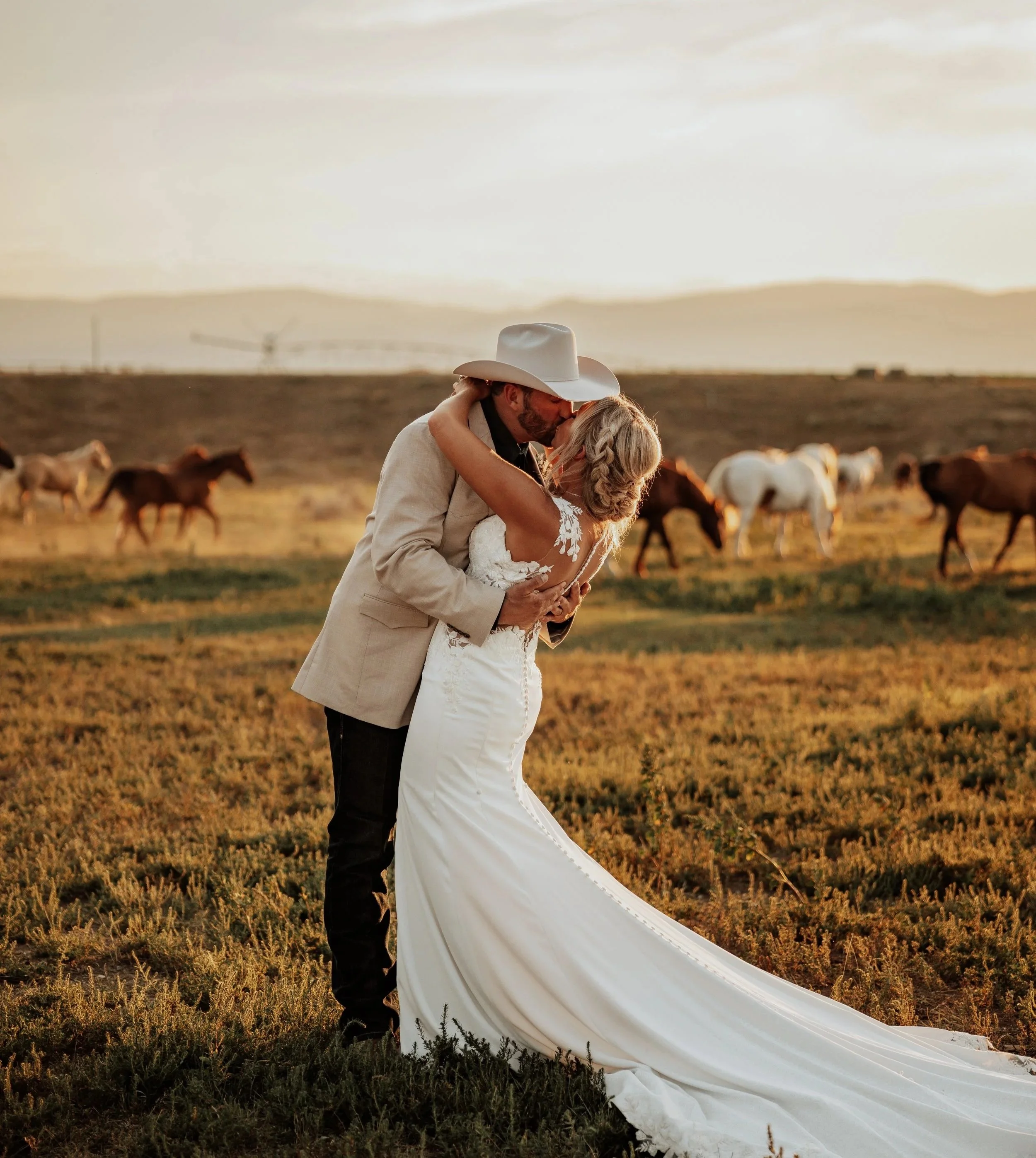 A couple on their wedding day embrace and kiss in a grassy field with horses in the background at sunset.