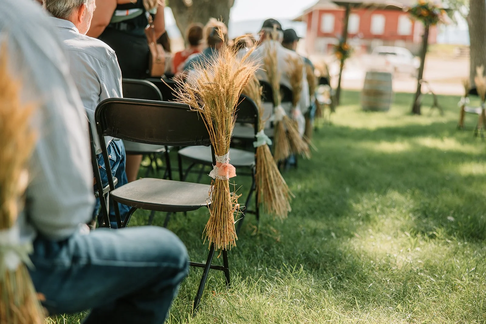 An outdoor gathering with chairs decorated with bundles of dried wheat tied with pastel-colored ribbons, set on a grassy lawn during daytime.