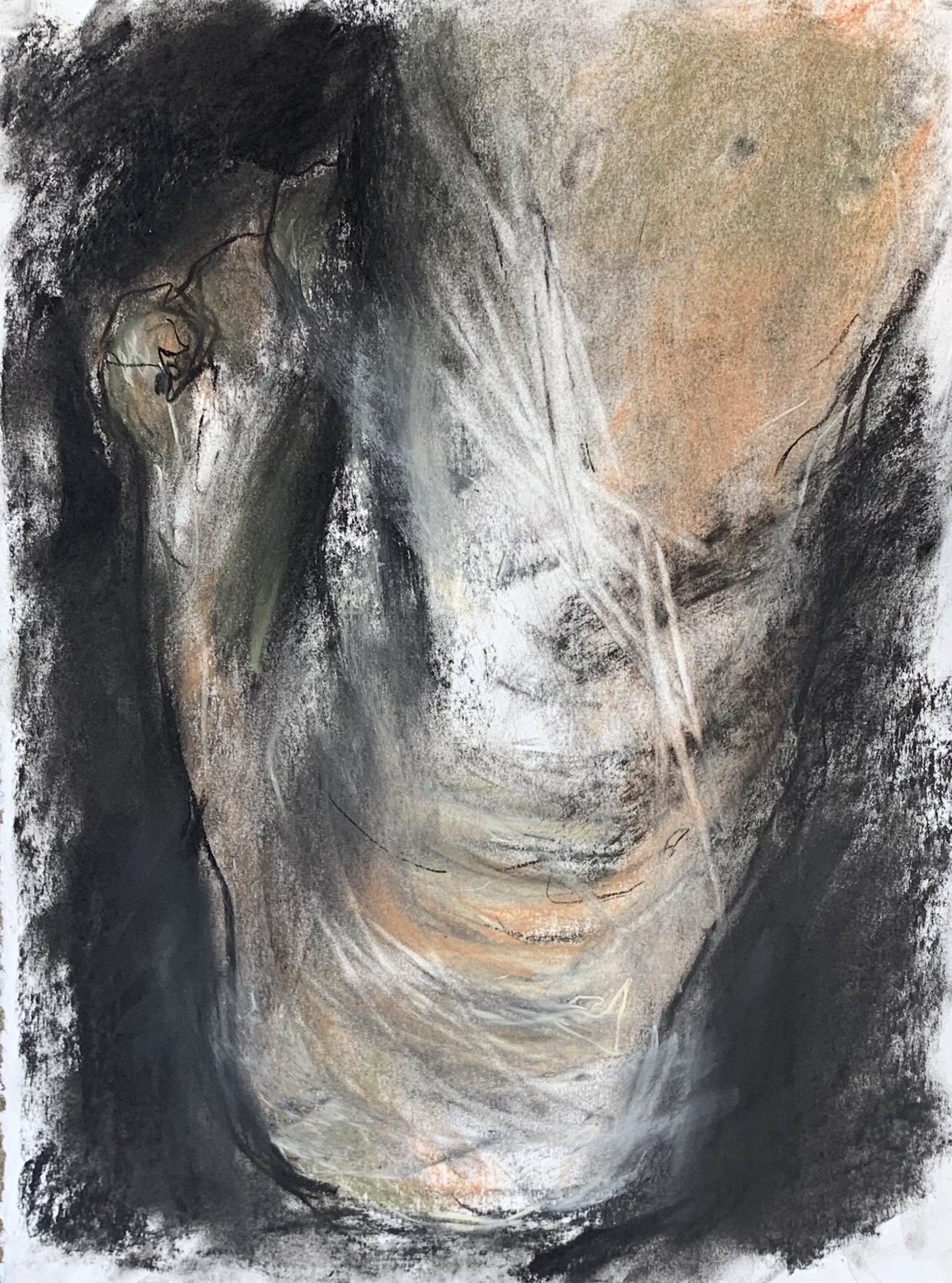 Untitled Series #7 (2022)
charcoal and soft pastel on paper
11 x 15 inches
