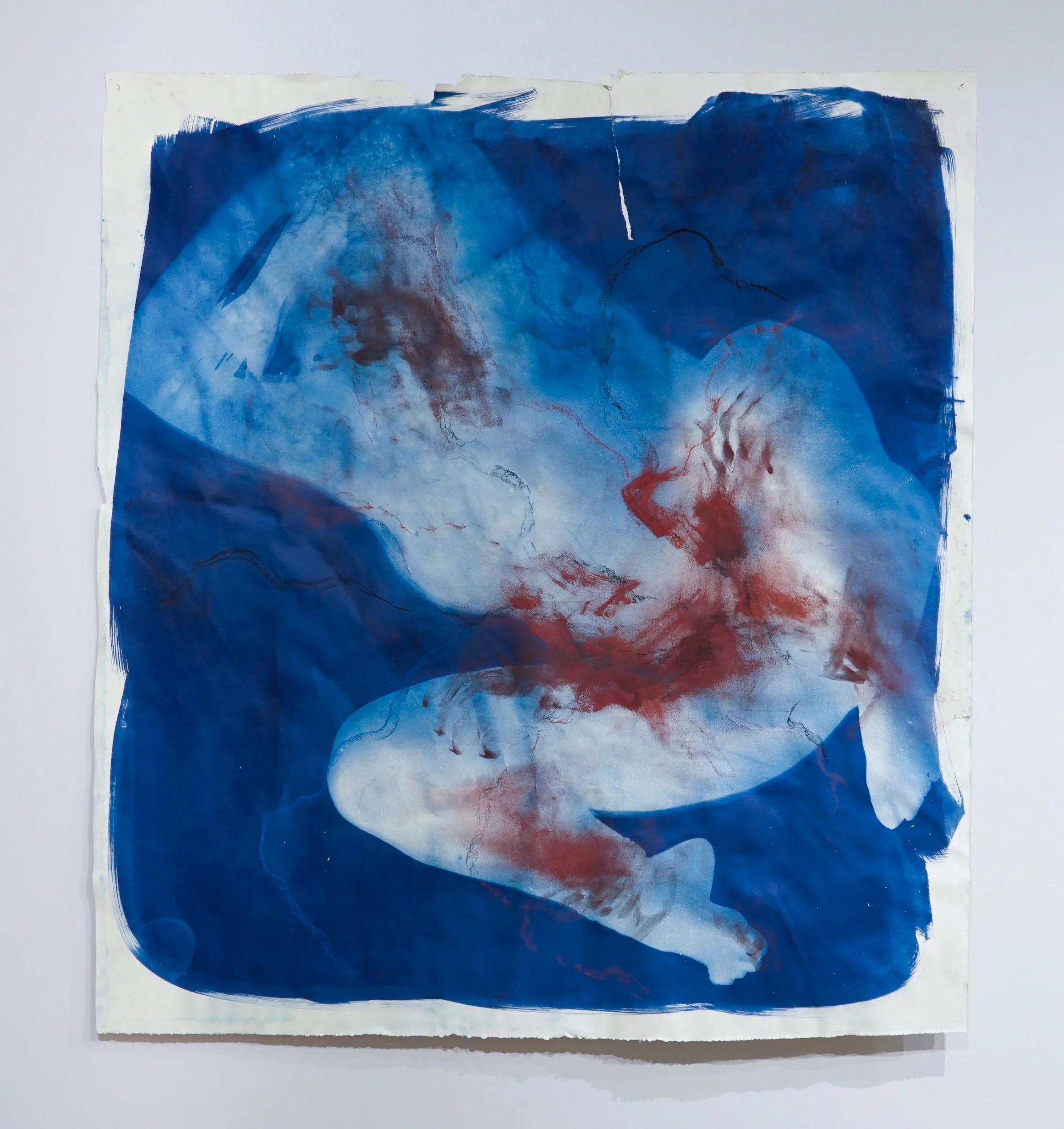Imprint Series #8 (2024)
cyanotype and soft pastel on paper
45 x 48 inches