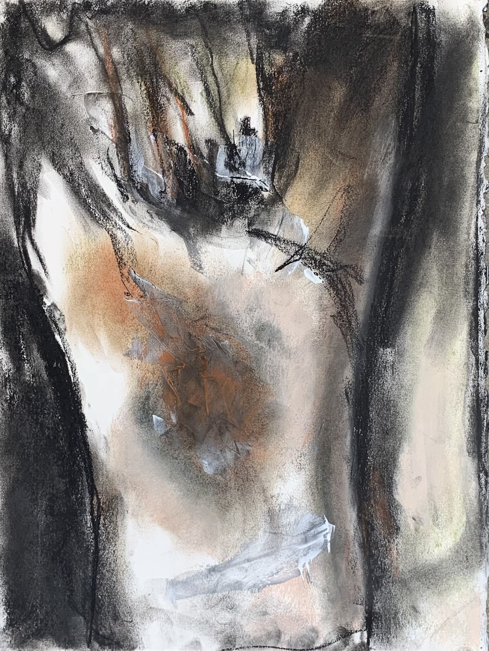 Untitled Series #6 (2022)
charcoal and soft pastel on paper
11 x 15 inches
