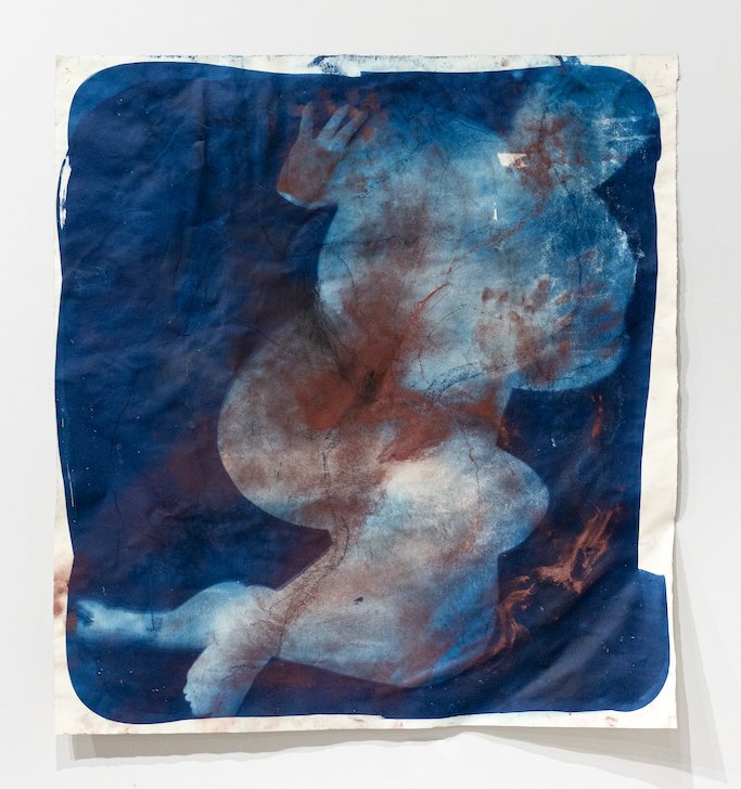 Imprint Series #12 (2024)
cyanotype and soft pastel on paper
45 x 48 inches