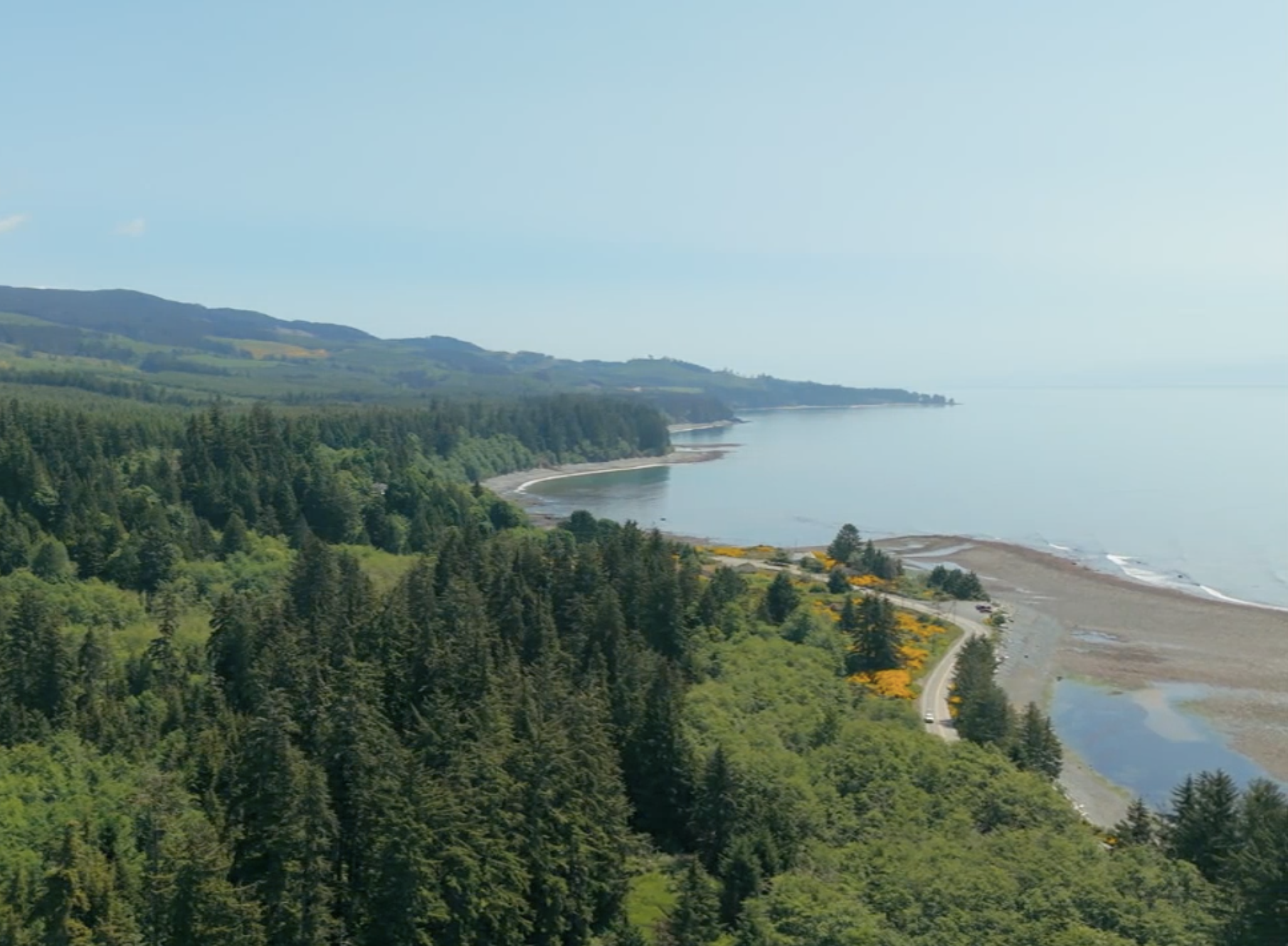 Sediment and Water Testing at Maple Bay