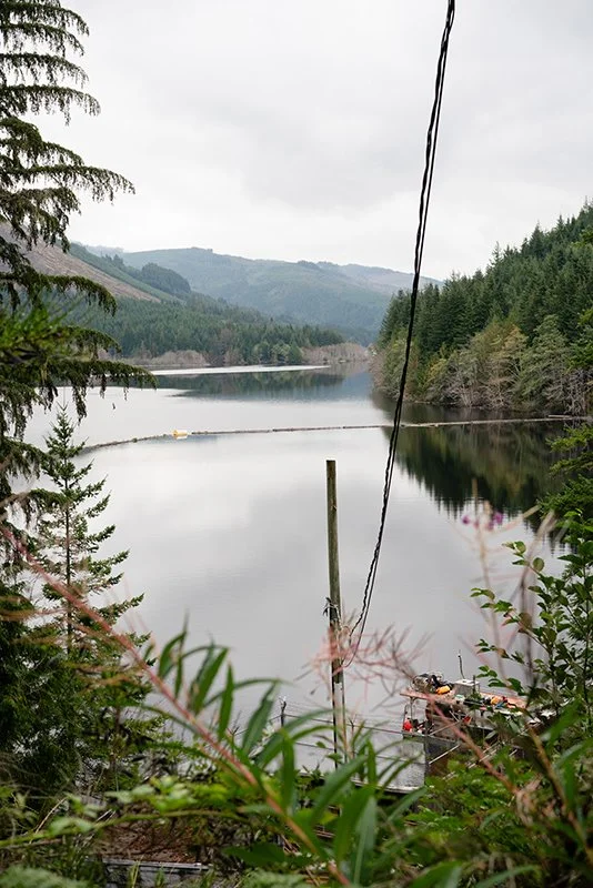 A full reservoir behind the Elliot Dam lined by trees and a logging cut blocks in the distance.