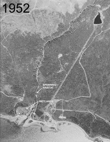 jrwa_1952.jpg