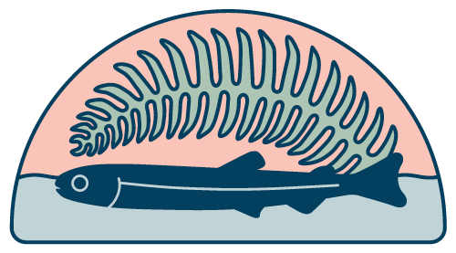 Jordan River Watershed Awareness - Jordan River, BC